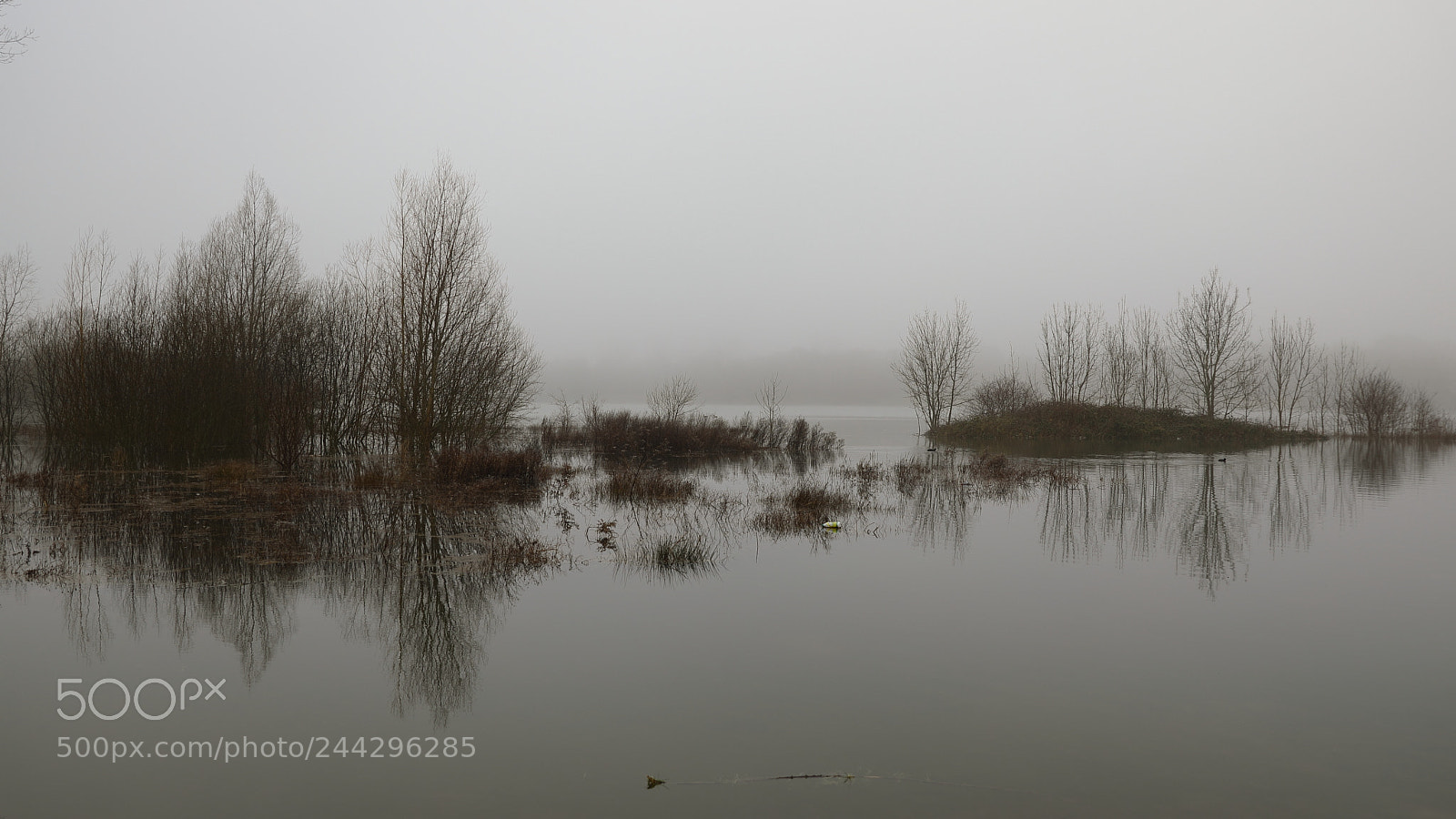 Canon EF 24-70mm F2.8L II USM sample photo. Torcy photography