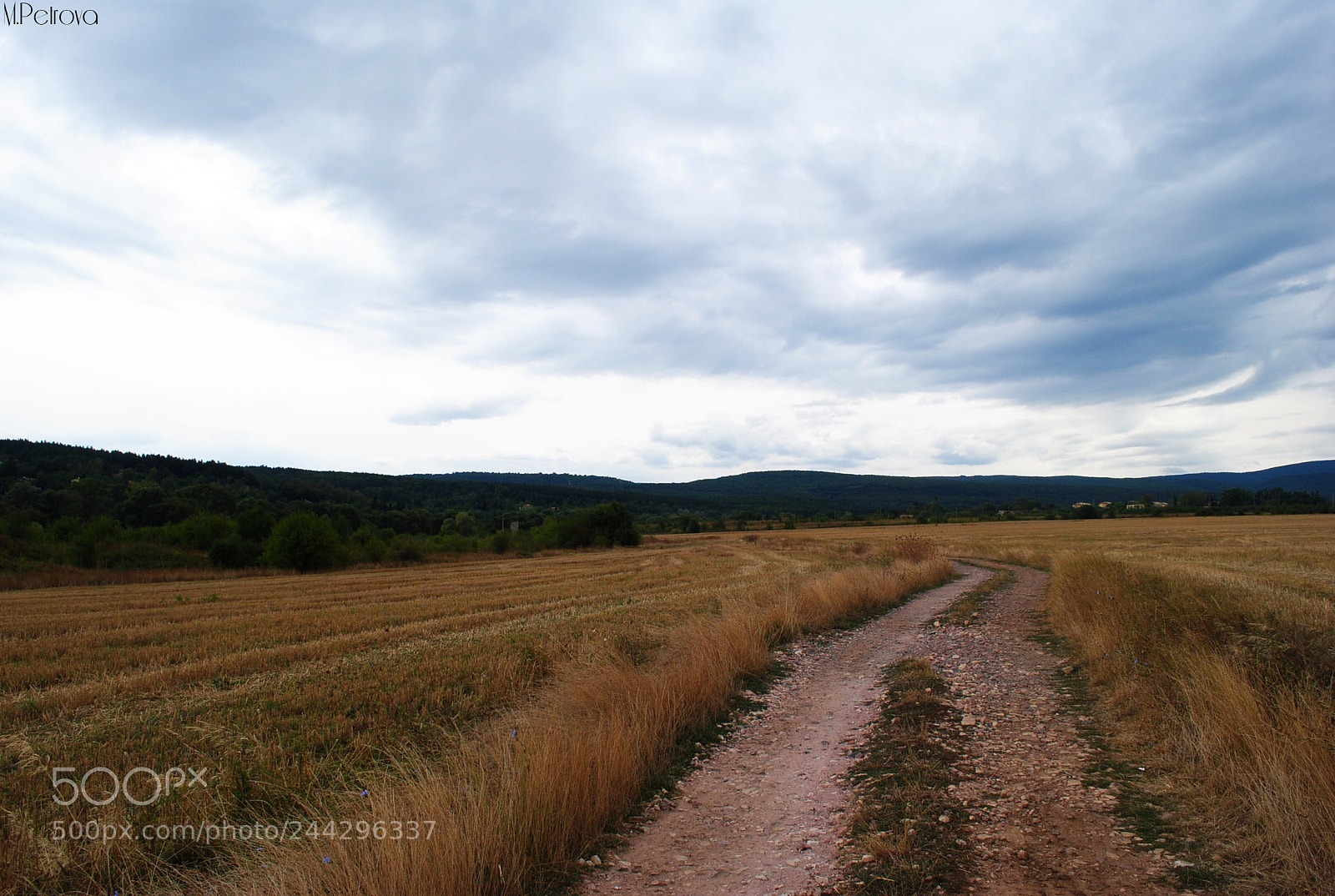 Nikon D3000 sample photo. Follow the path photography