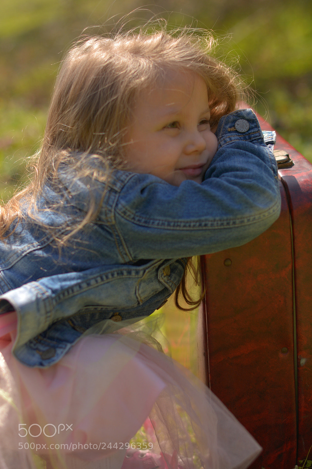 Nikon D7100 sample photo. The passenger photography
