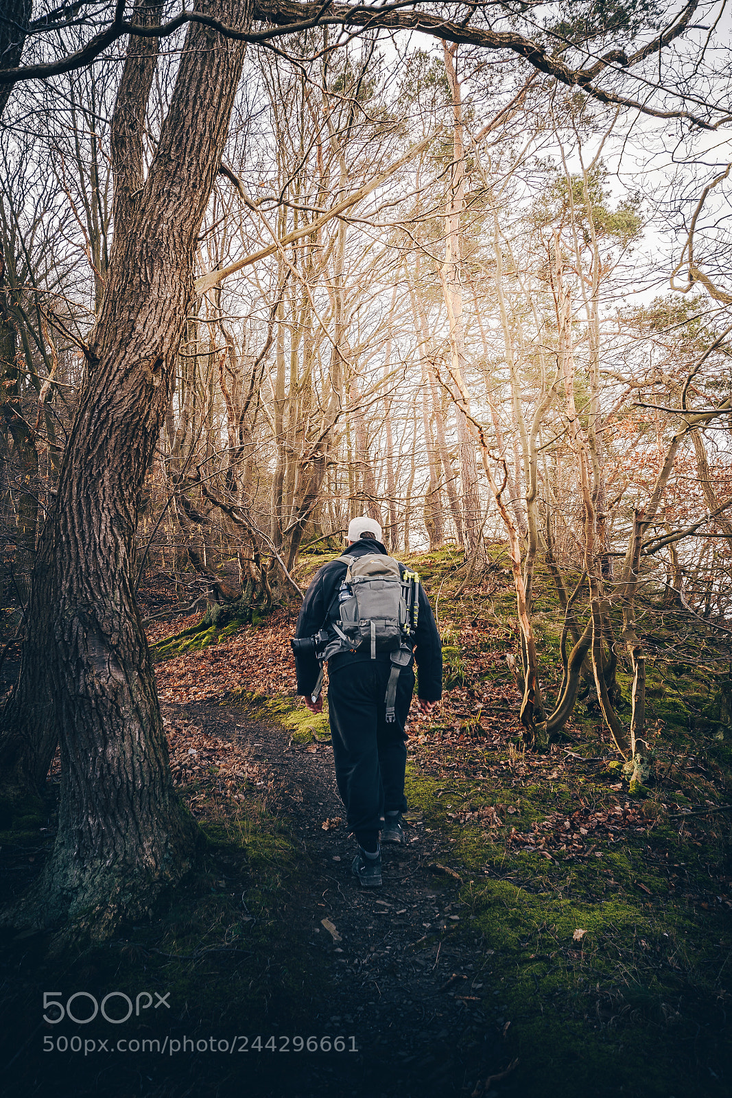 Nikon D500 sample photo. The hike photography