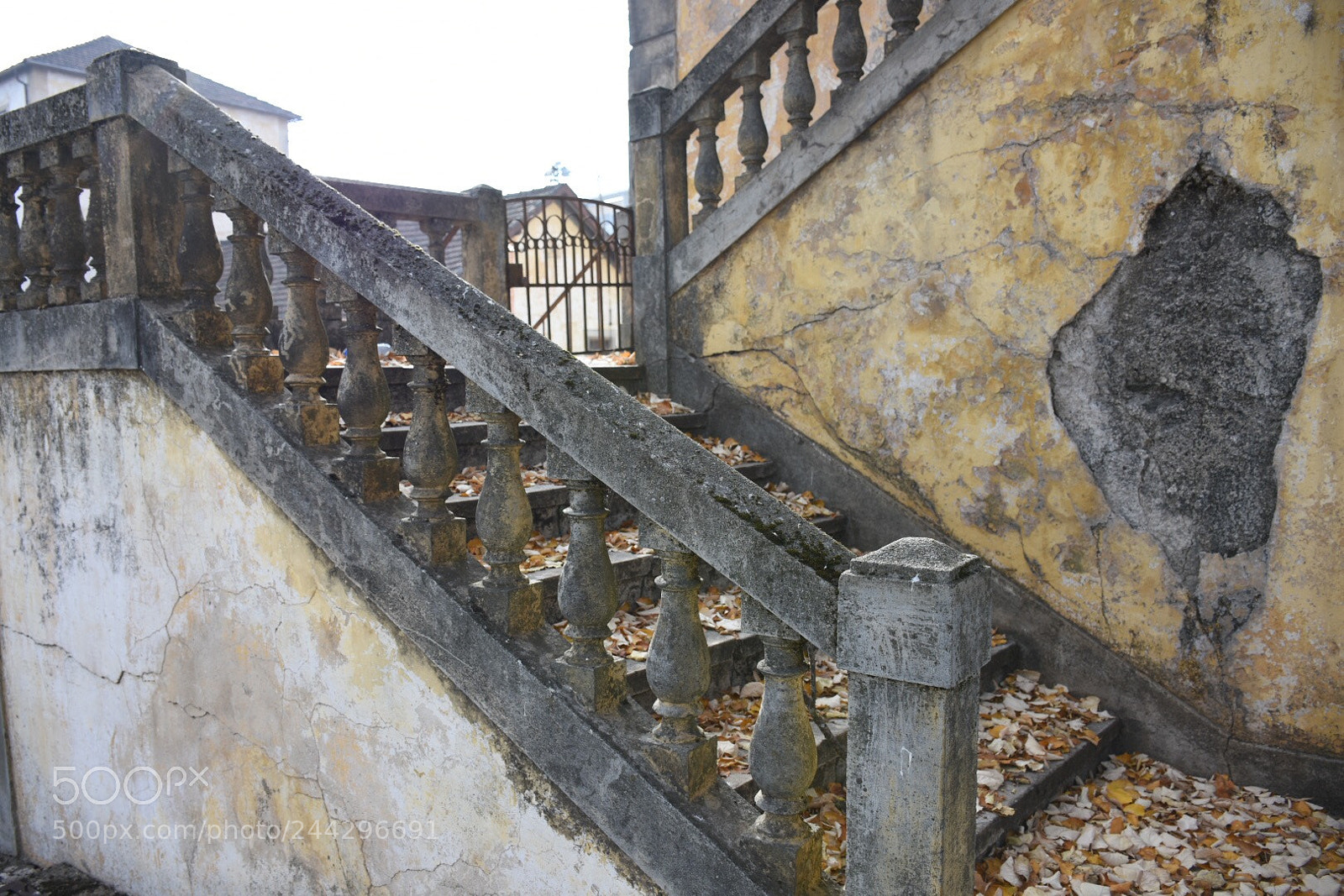 Nikon D7200 sample photo. Bragança photography