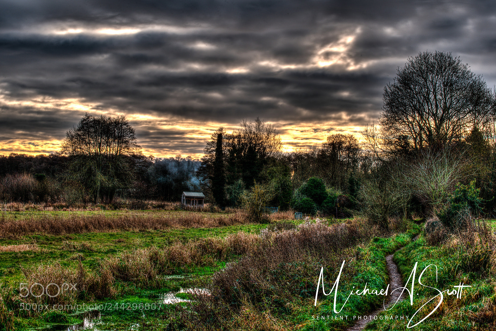Nikon D800 sample photo. River flows and path photography