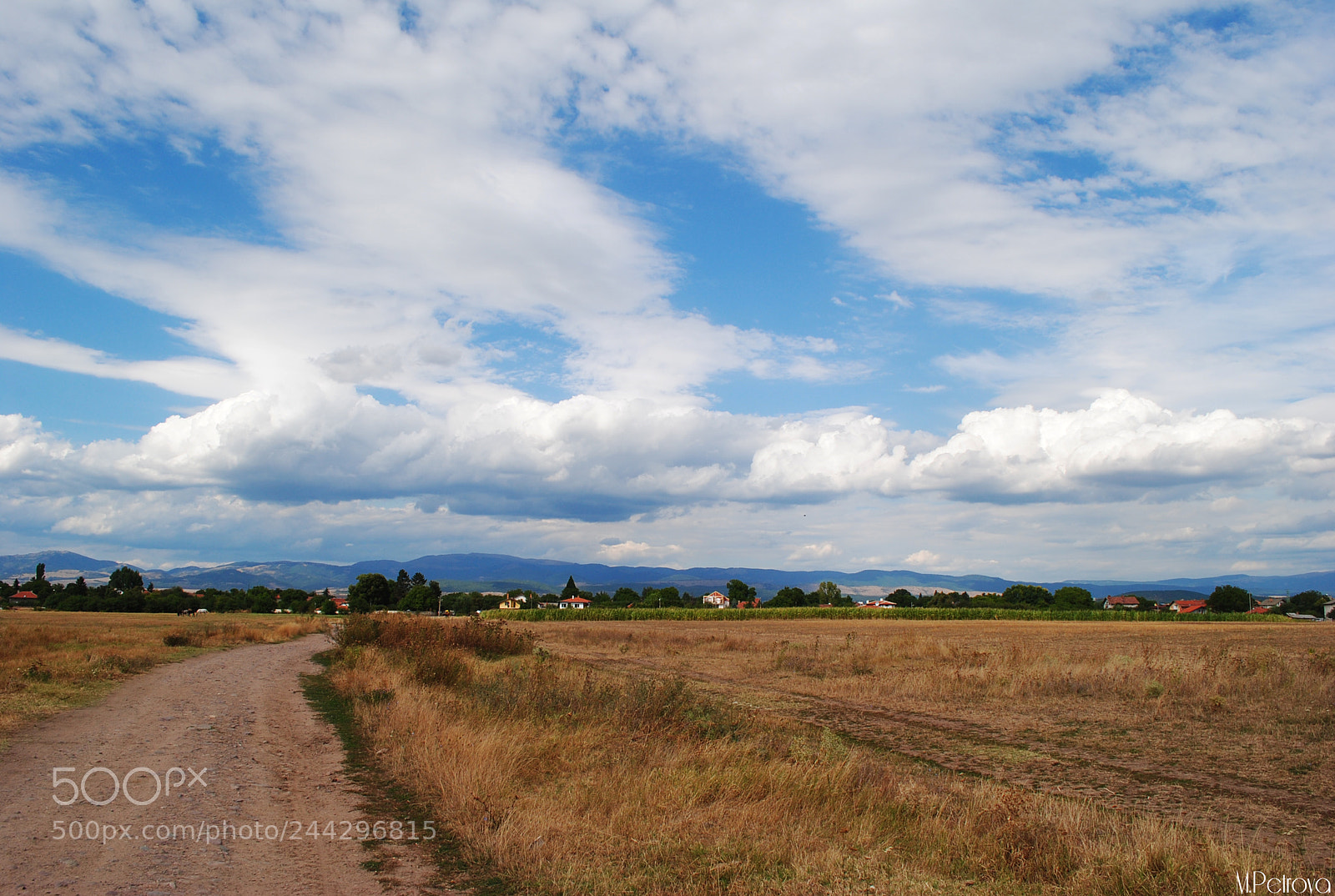 Nikon D3000 sample photo. Summer sky photography