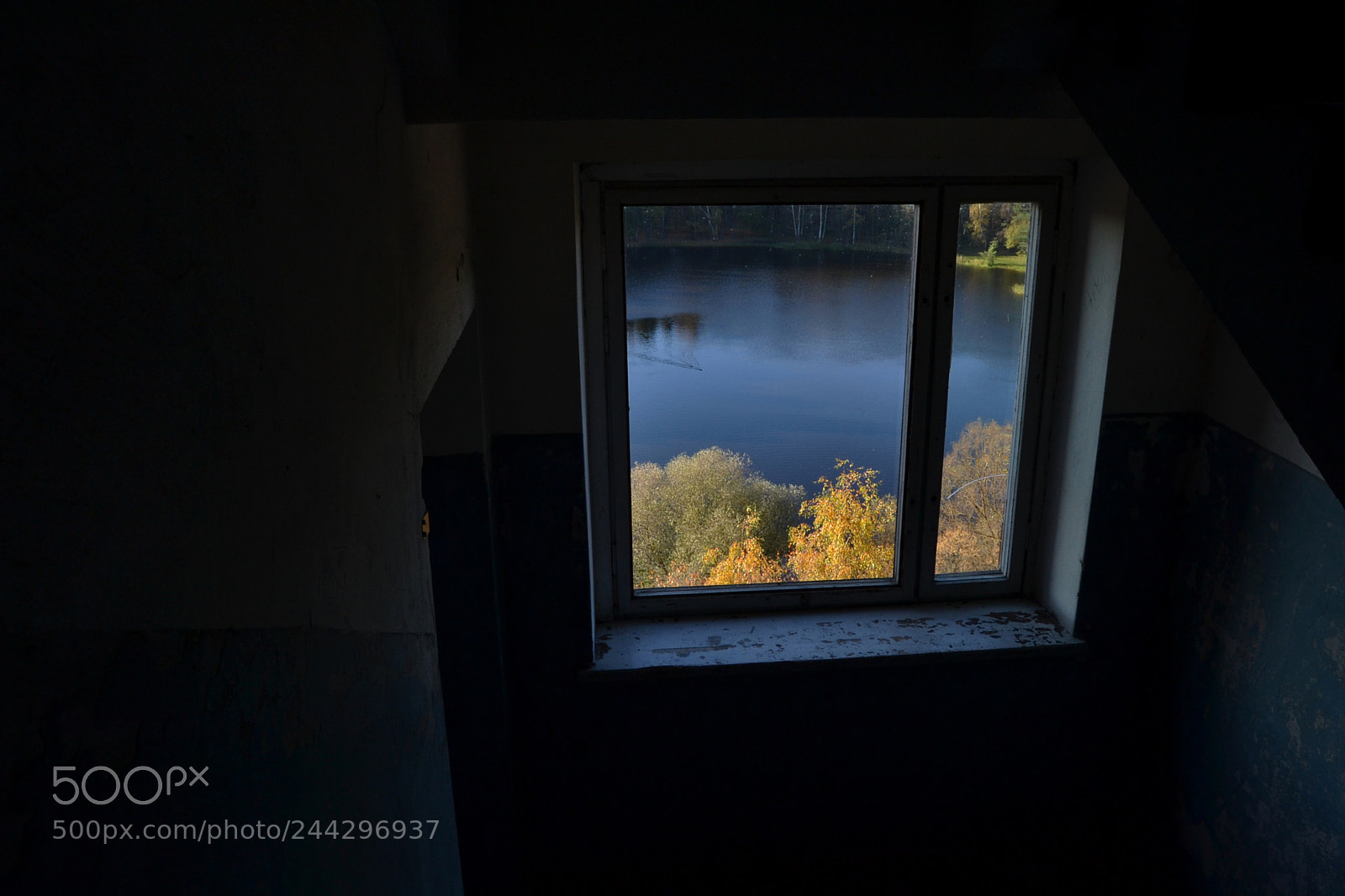 Nikon D3100 sample photo. Window autumn view photography