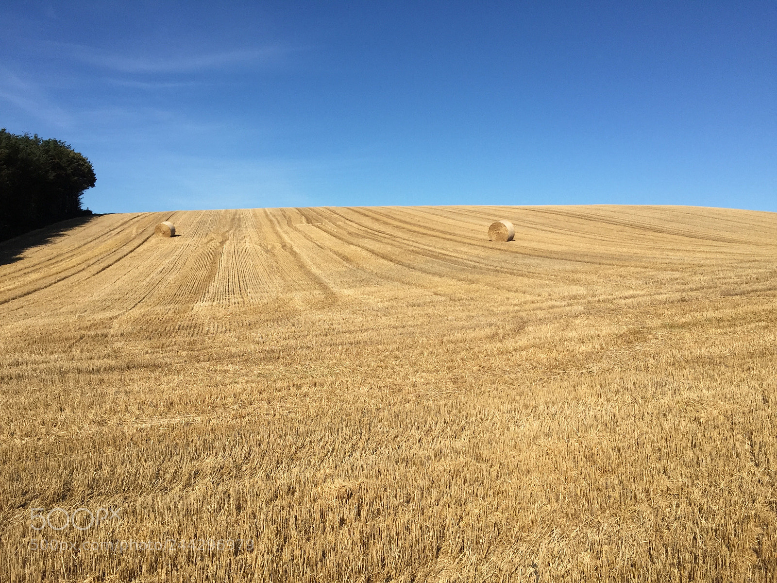 Apple iPhone 6 sample photo. Field of hay in photography