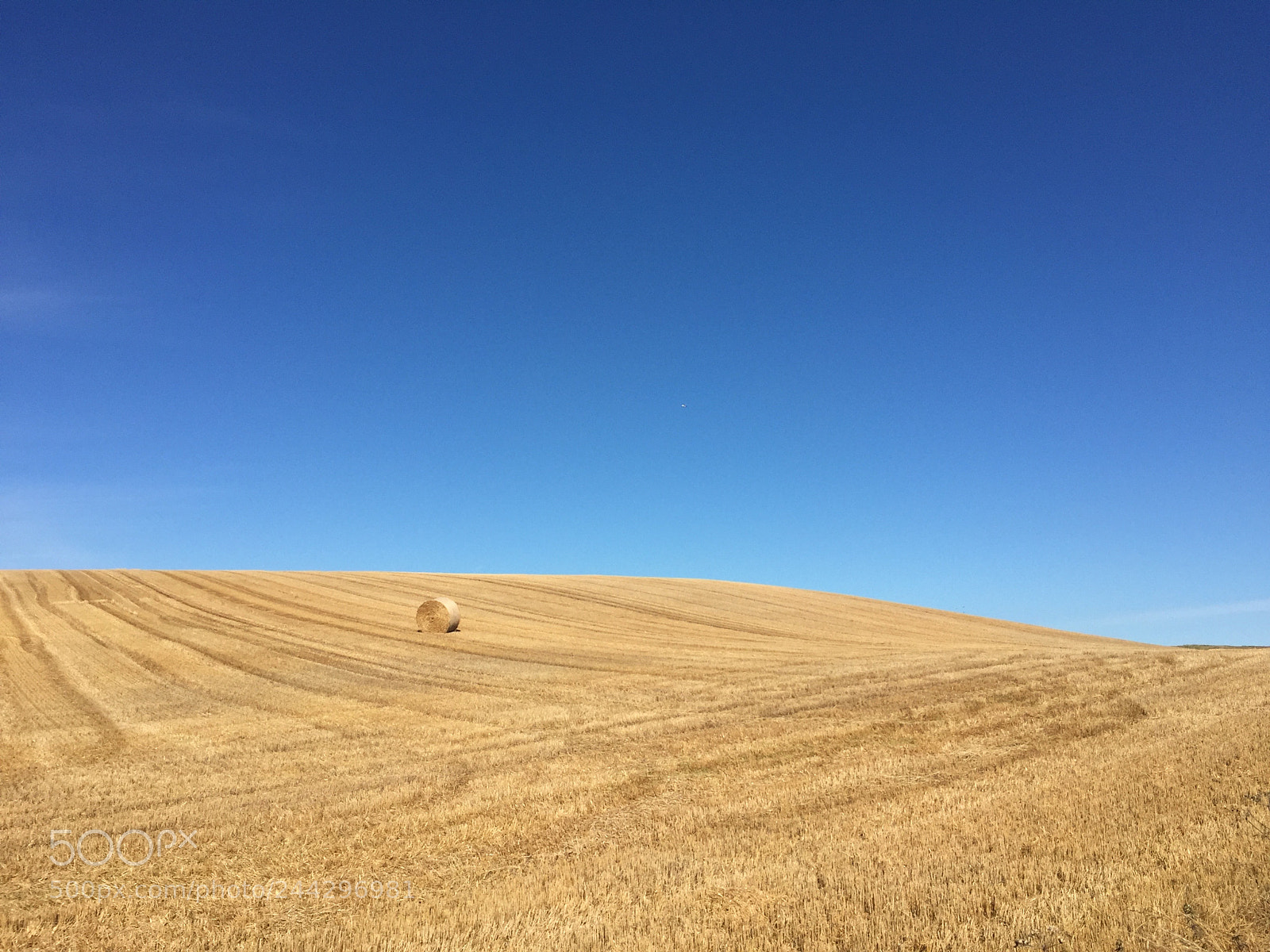Apple iPhone 6 sample photo. Field of hay in photography
