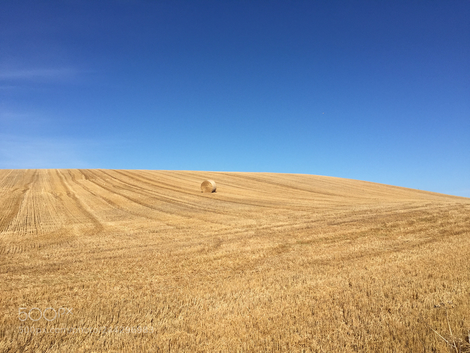 Apple iPhone 6 sample photo. Field of hay in photography
