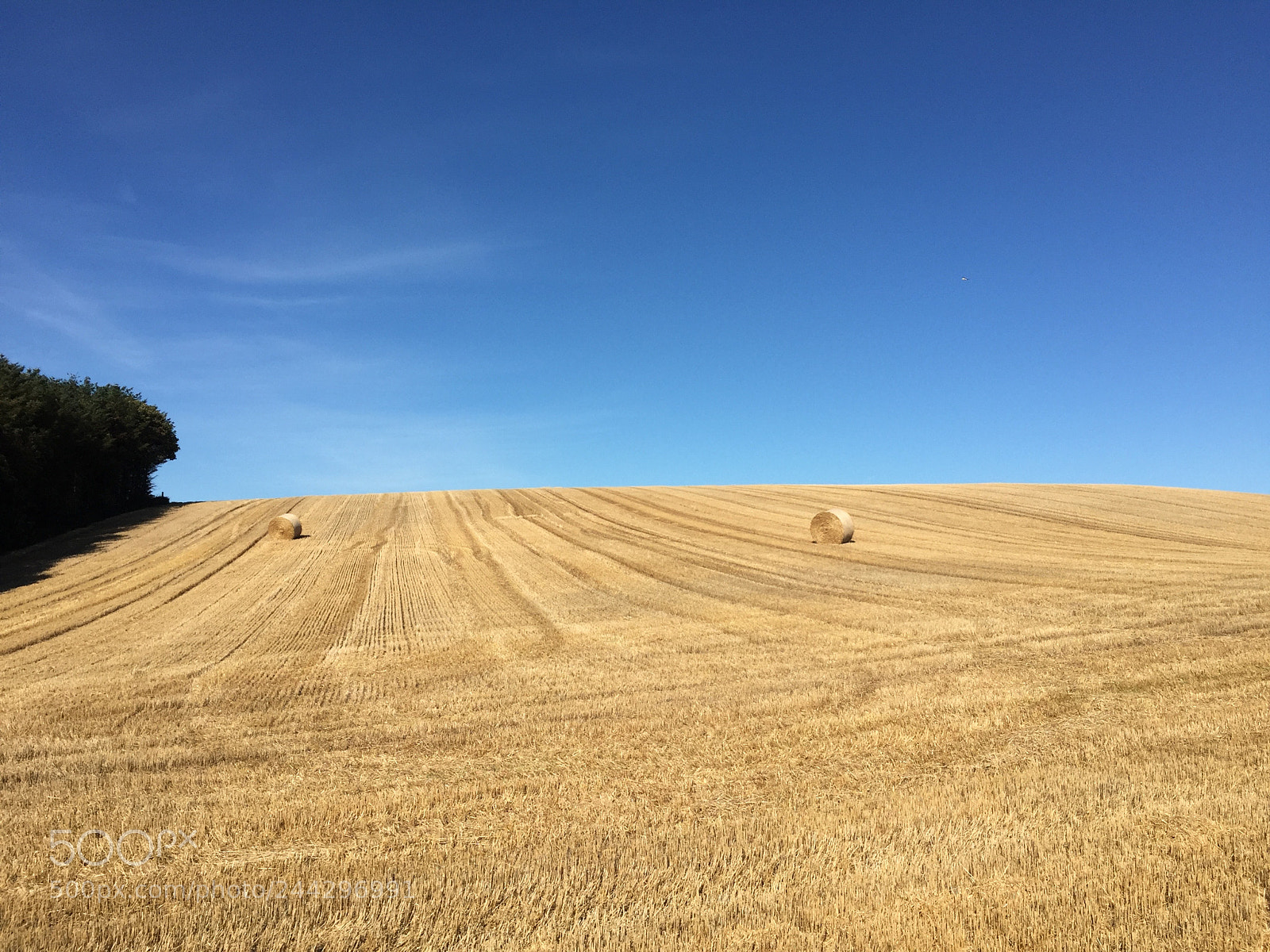 Apple iPhone 6 sample photo. Field of hay in photography