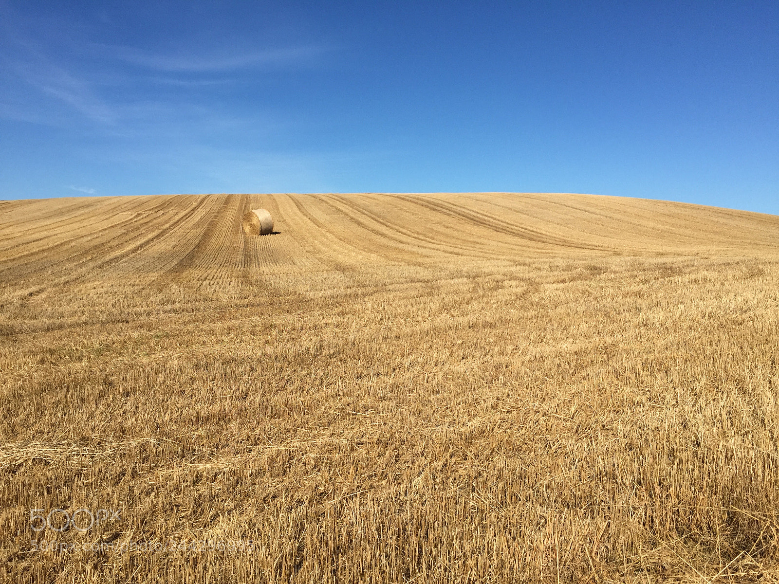 Apple iPhone 6 sample photo. Field of hay in photography