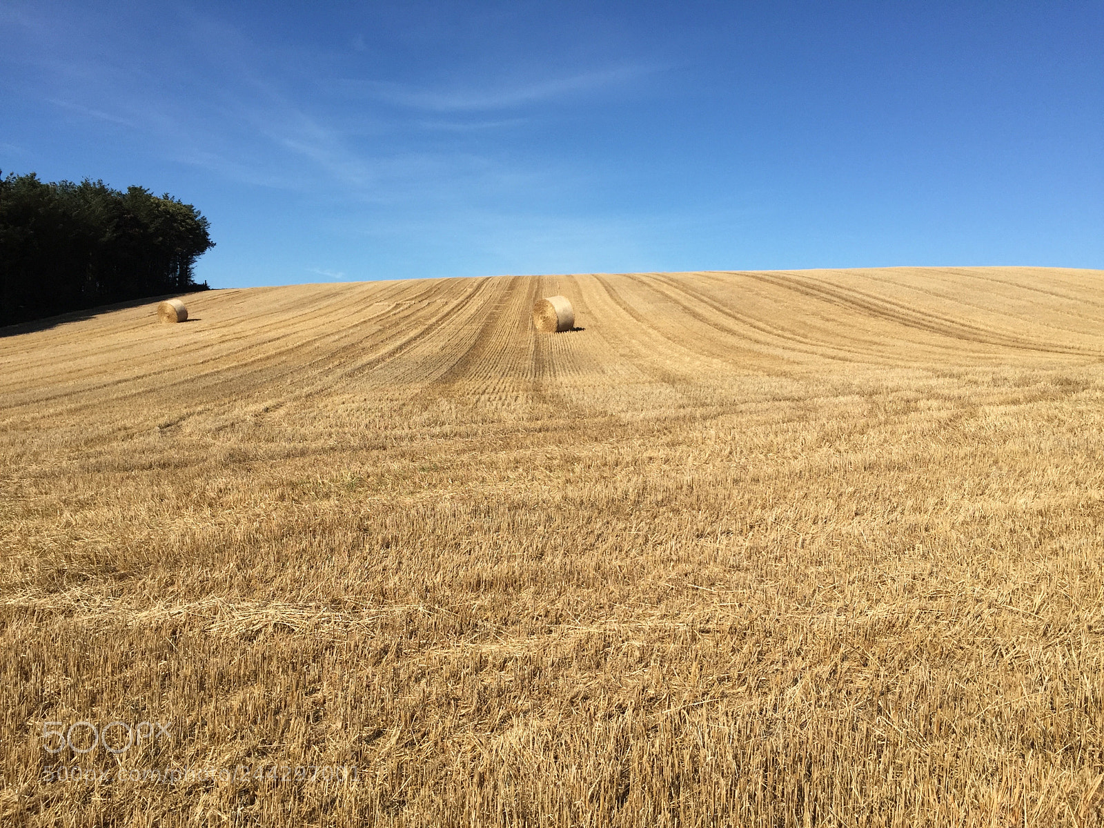 Apple iPhone 6 sample photo. Field of hay in photography