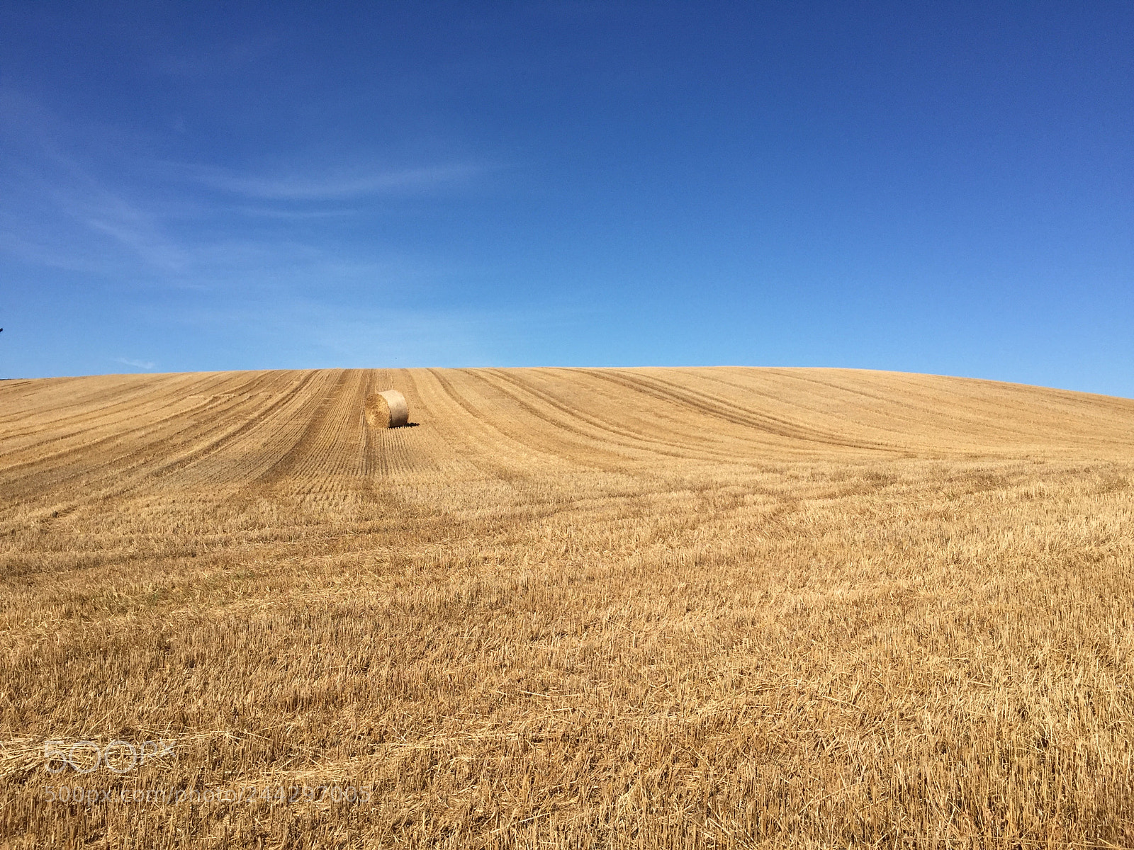 Apple iPhone 6 sample photo. Field of hay in photography