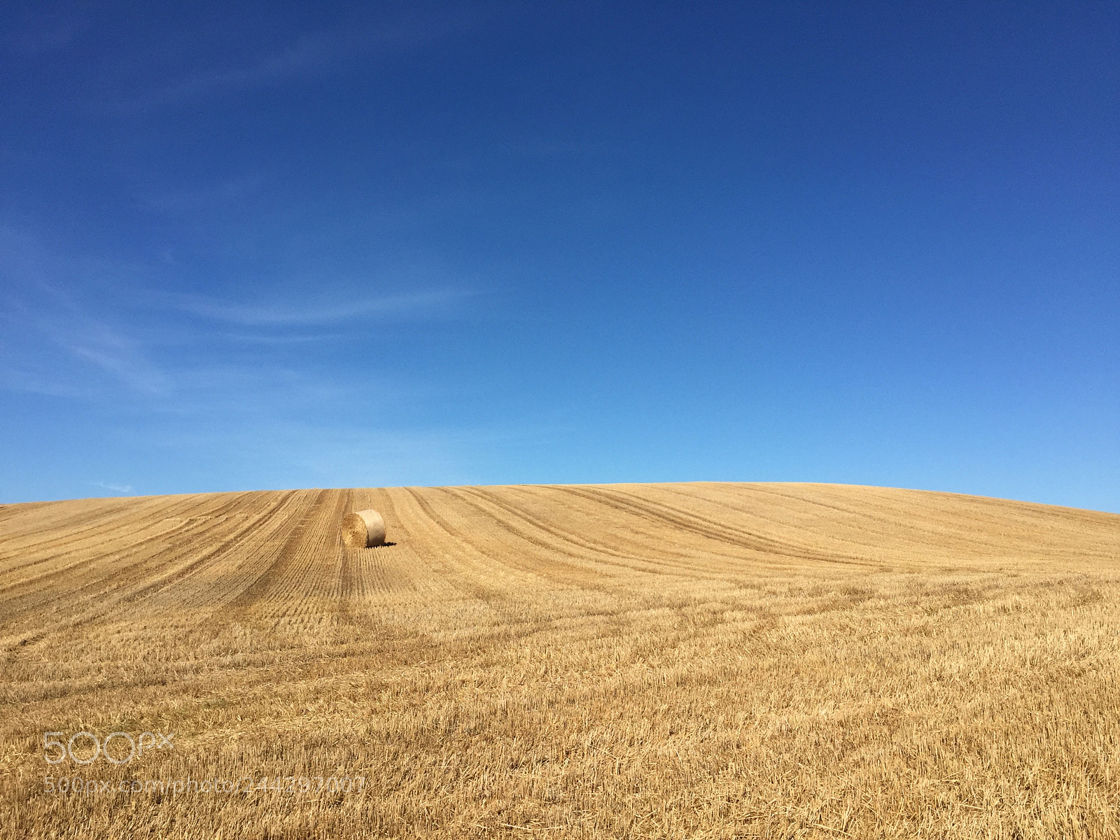 Apple iPhone 6 sample photo. Field of hay in photography