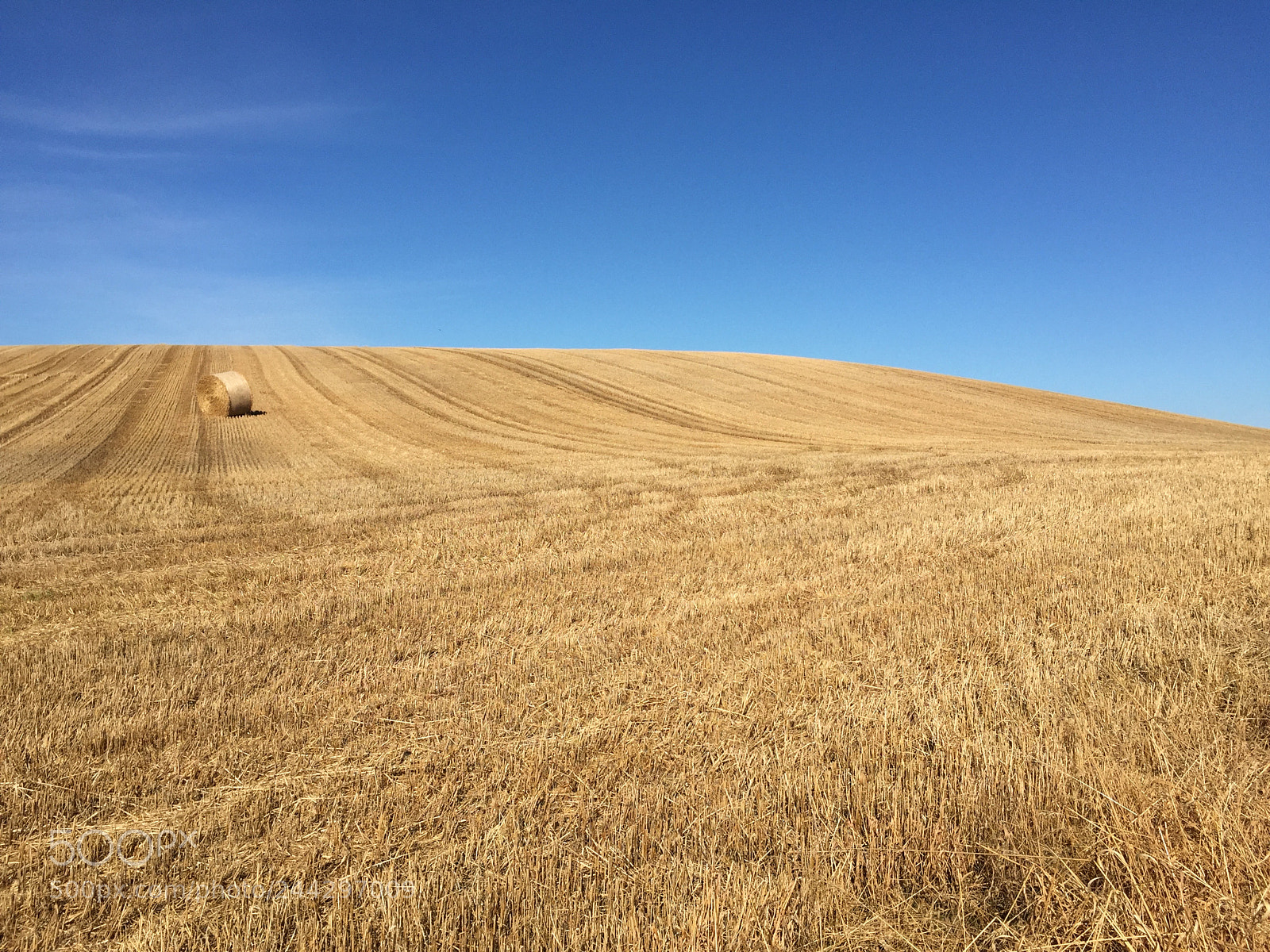 Apple iPhone 6 sample photo. Field of hay in photography