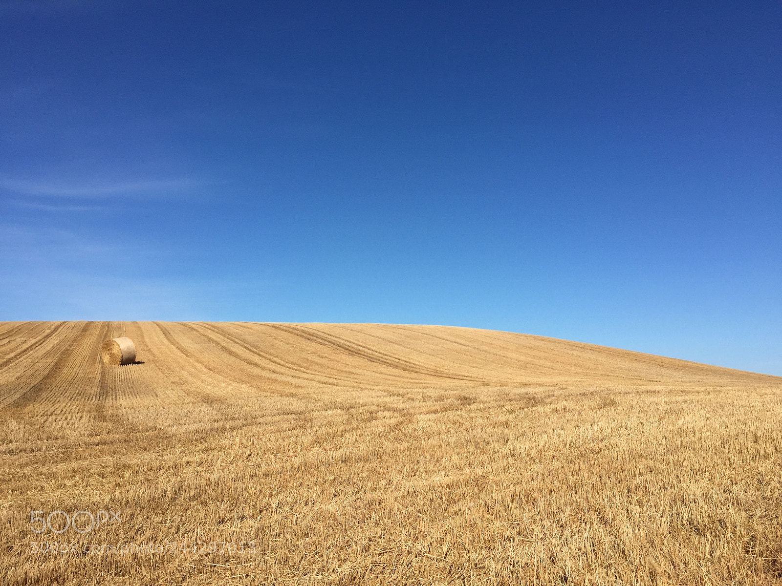 Apple iPhone 6 sample photo. Field of hay in photography