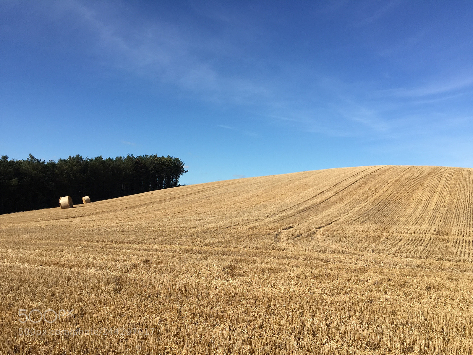 Apple iPhone 6 sample photo. Field of hay in photography