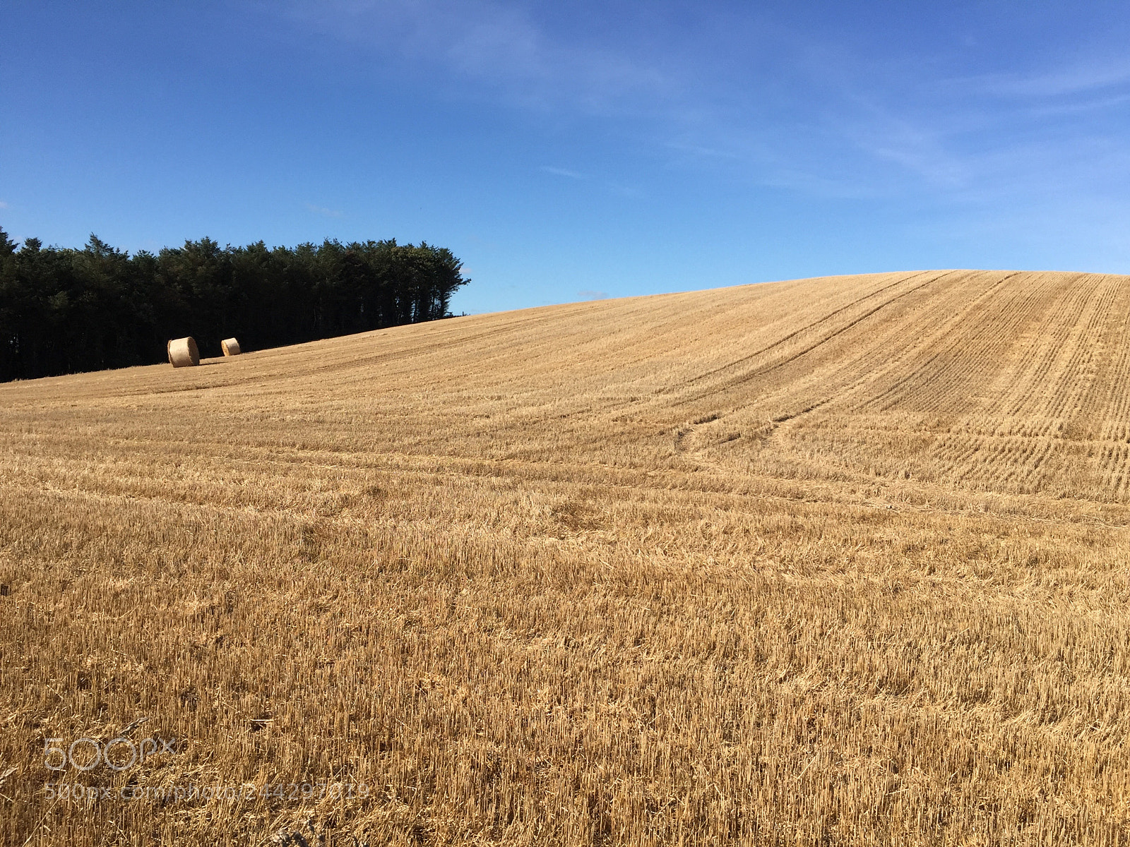 Apple iPhone 6 sample photo. Field of hay in photography