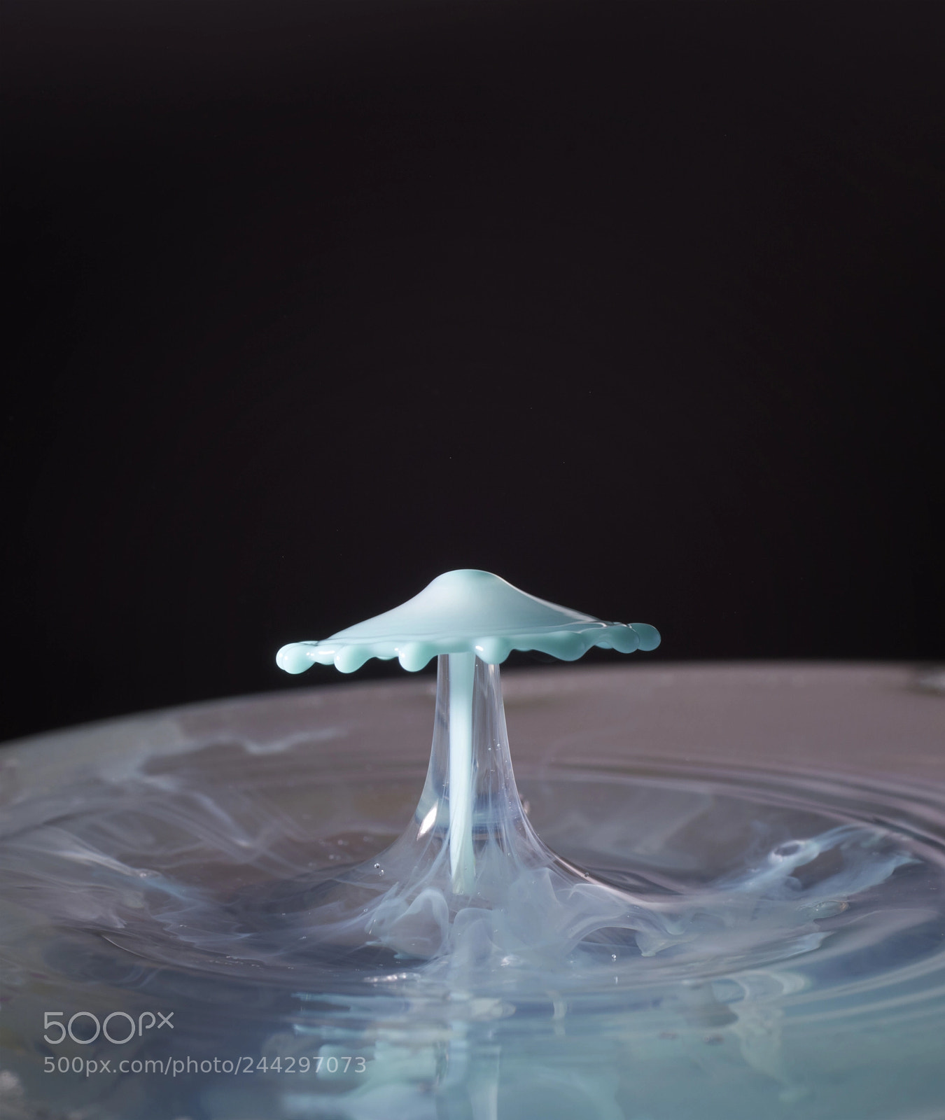Sony ILCA-77M2 sample photo. Droplet photography