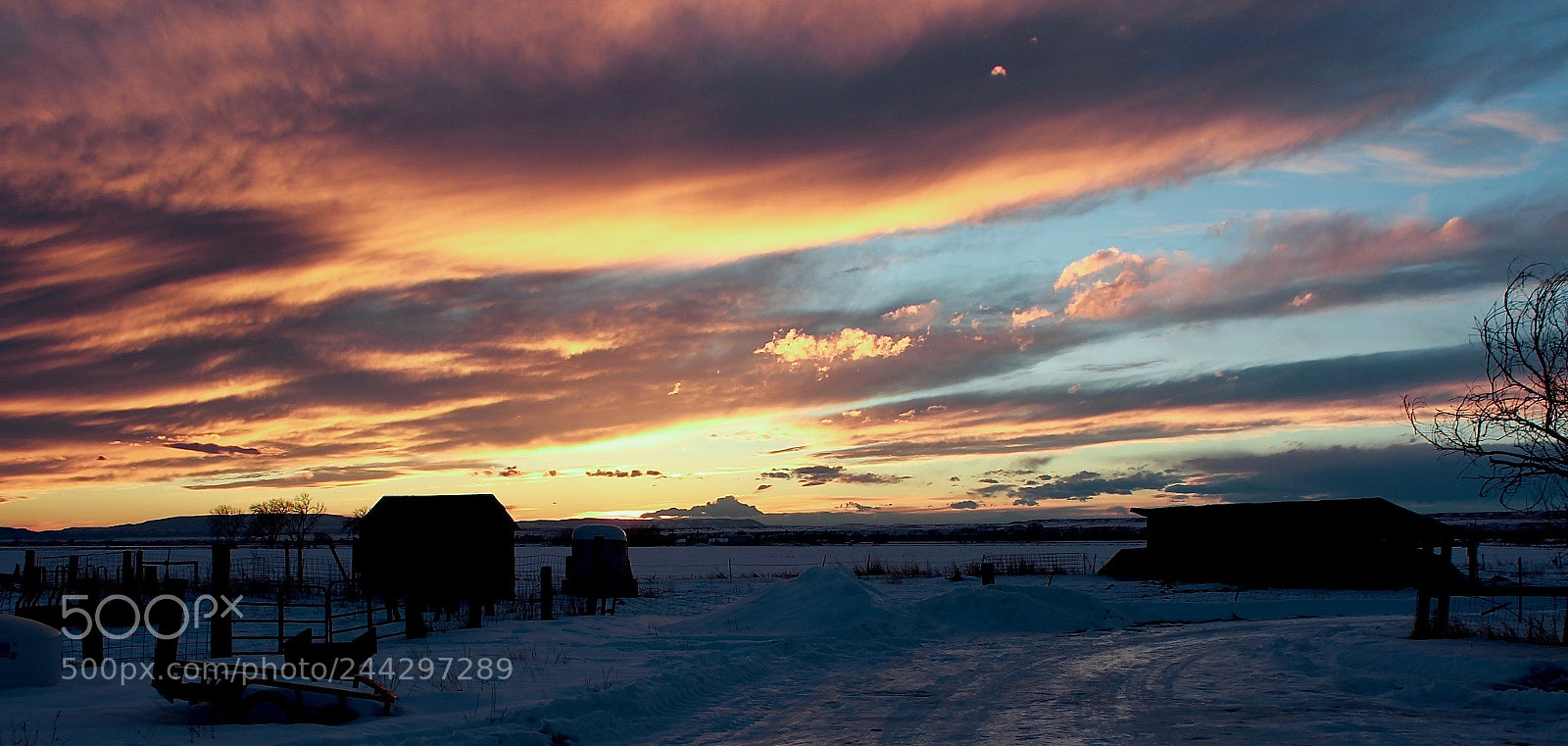 Canon EOS 600D (Rebel EOS T3i / EOS Kiss X5) sample photo. Last light on the photography