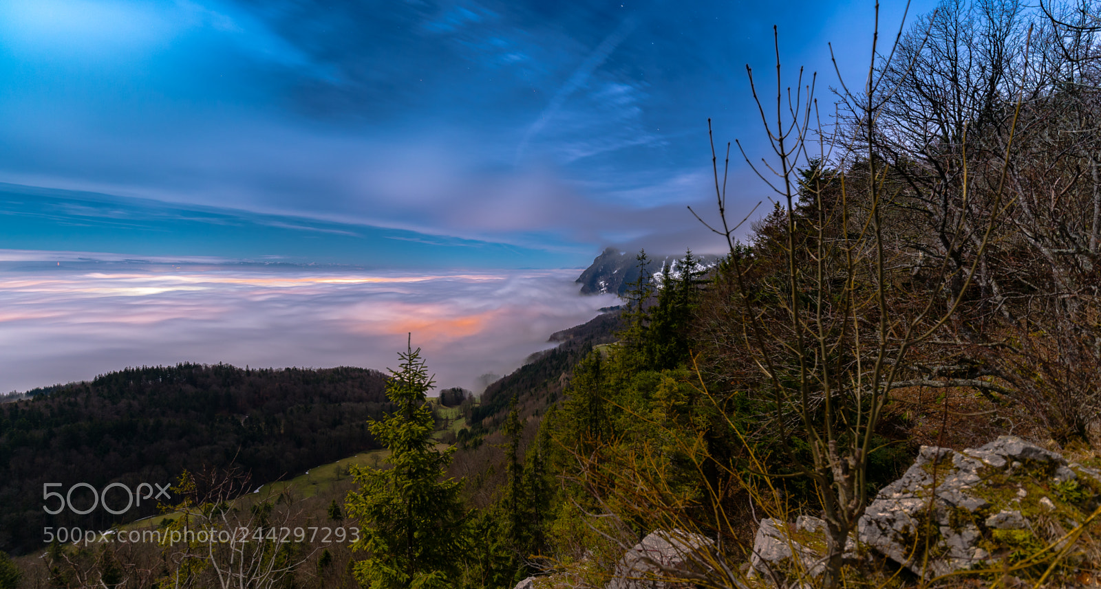 Nikon D610 sample photo. Moon light landscape photography