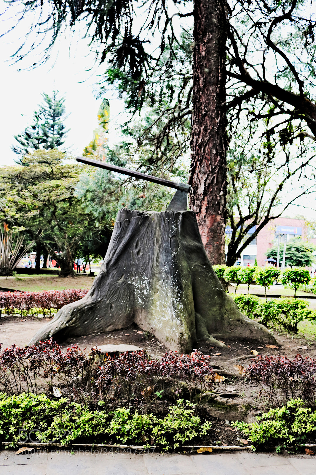 Canon EOS 750D (EOS Rebel T6i / EOS Kiss X8i) sample photo. Img photography