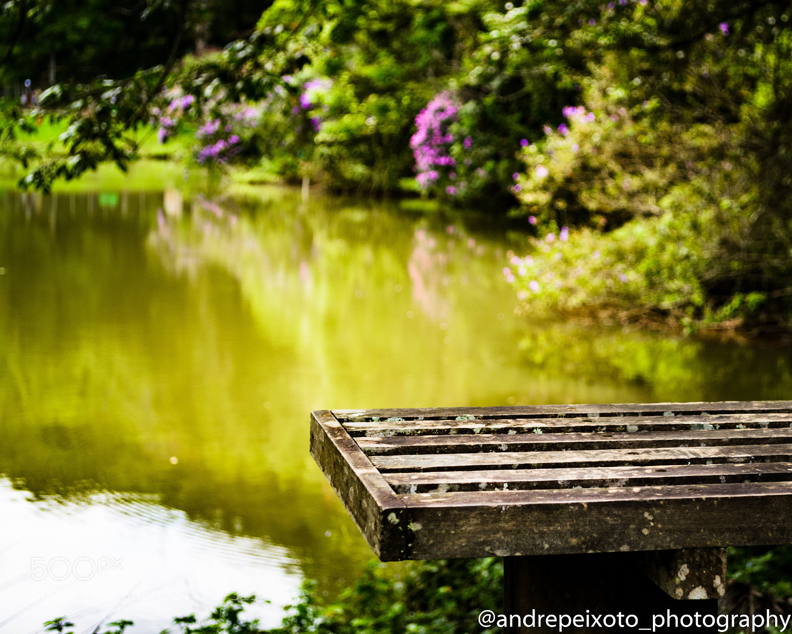 Nikon D3100 sample photo. A wooden bench by photography