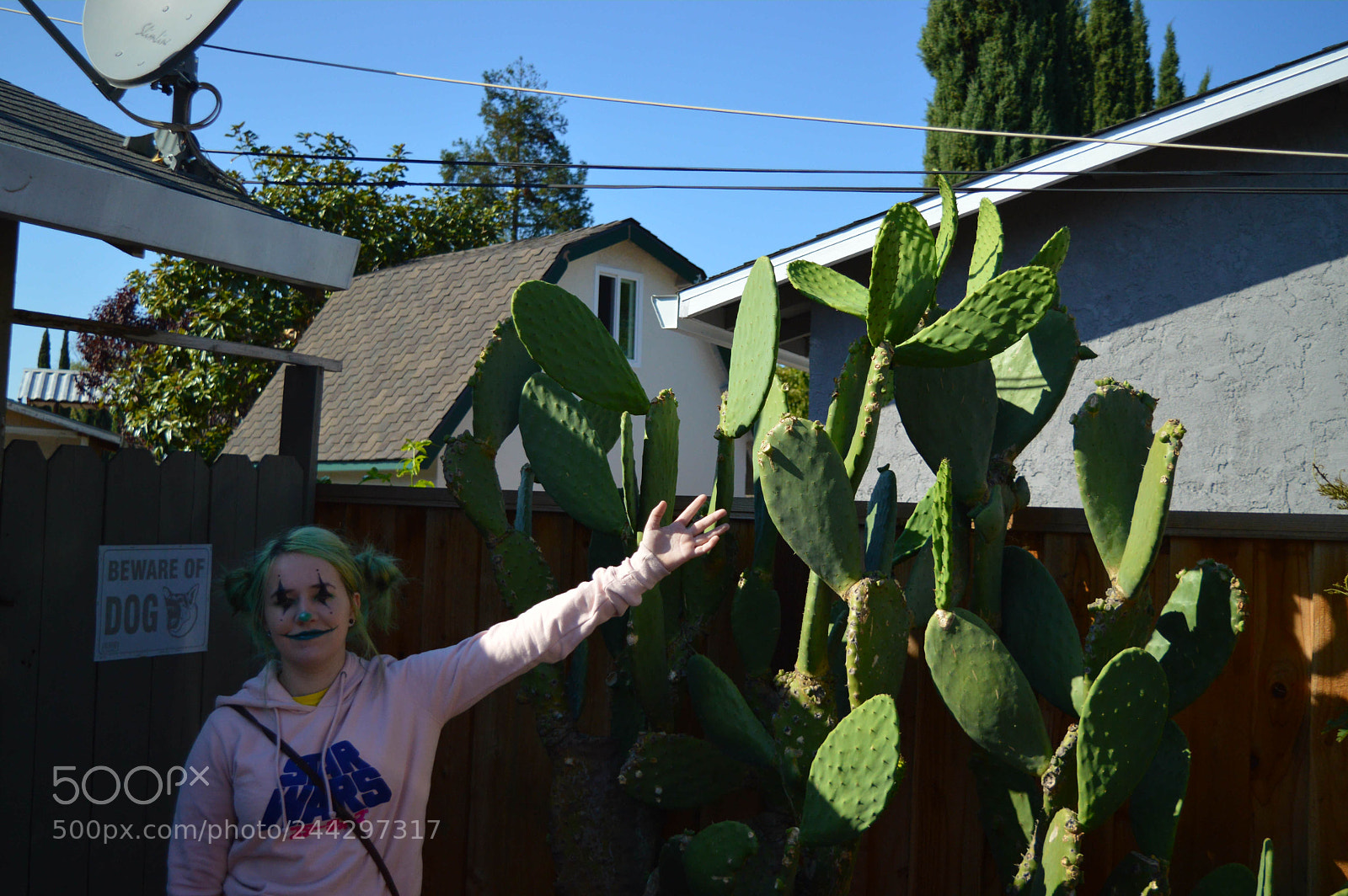 Nikon D3200 sample photo. Untitled photography
