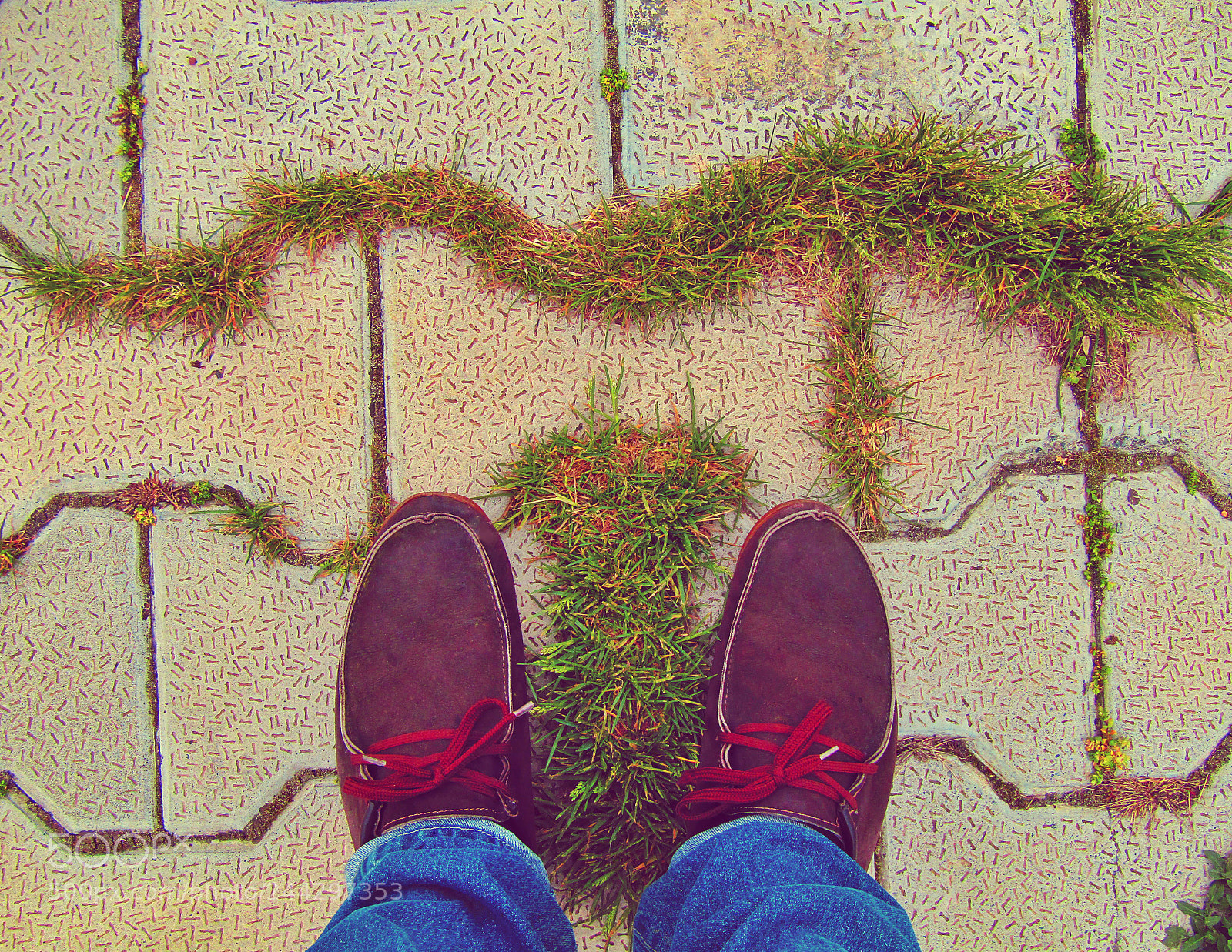 Canon PowerShot SX410 IS sample photo. Foots photography