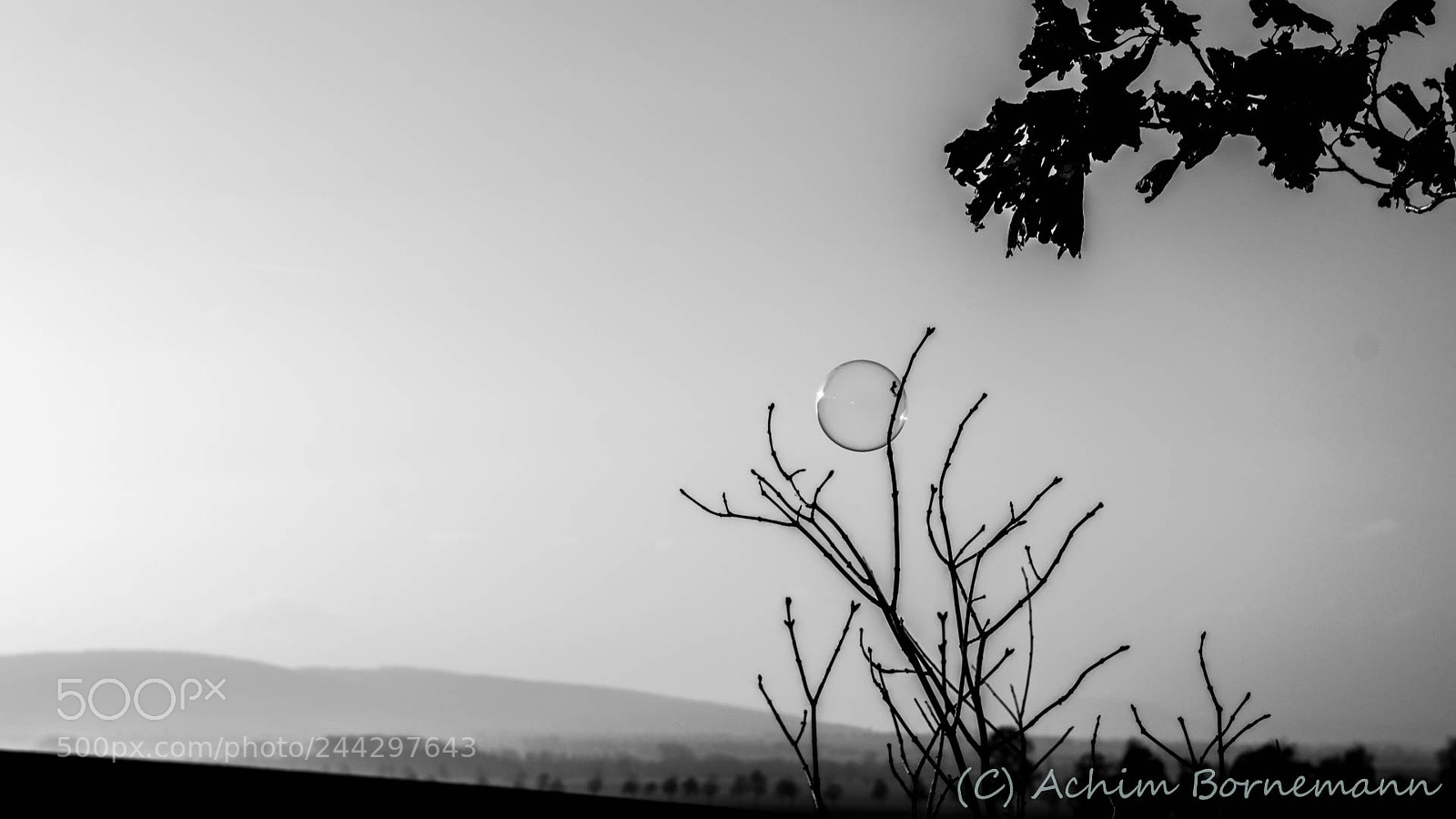 Sony SLT-A68 sample photo. Fleeting photography