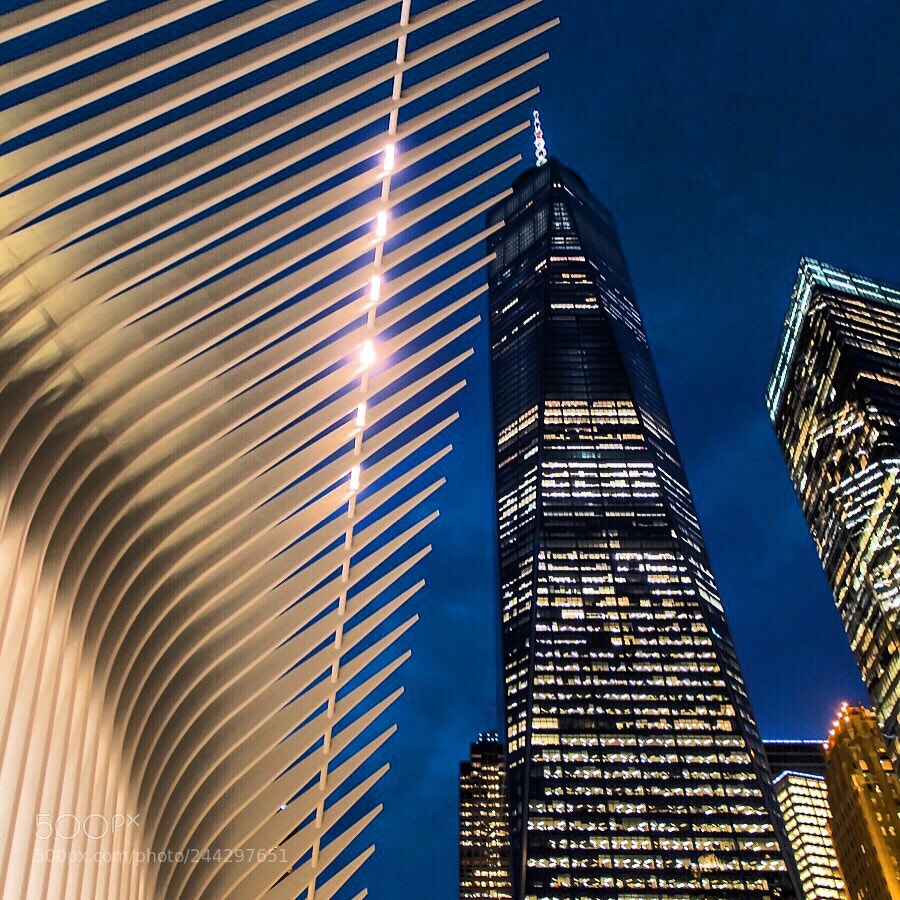 Nikon D500 sample photo. New york new york photography