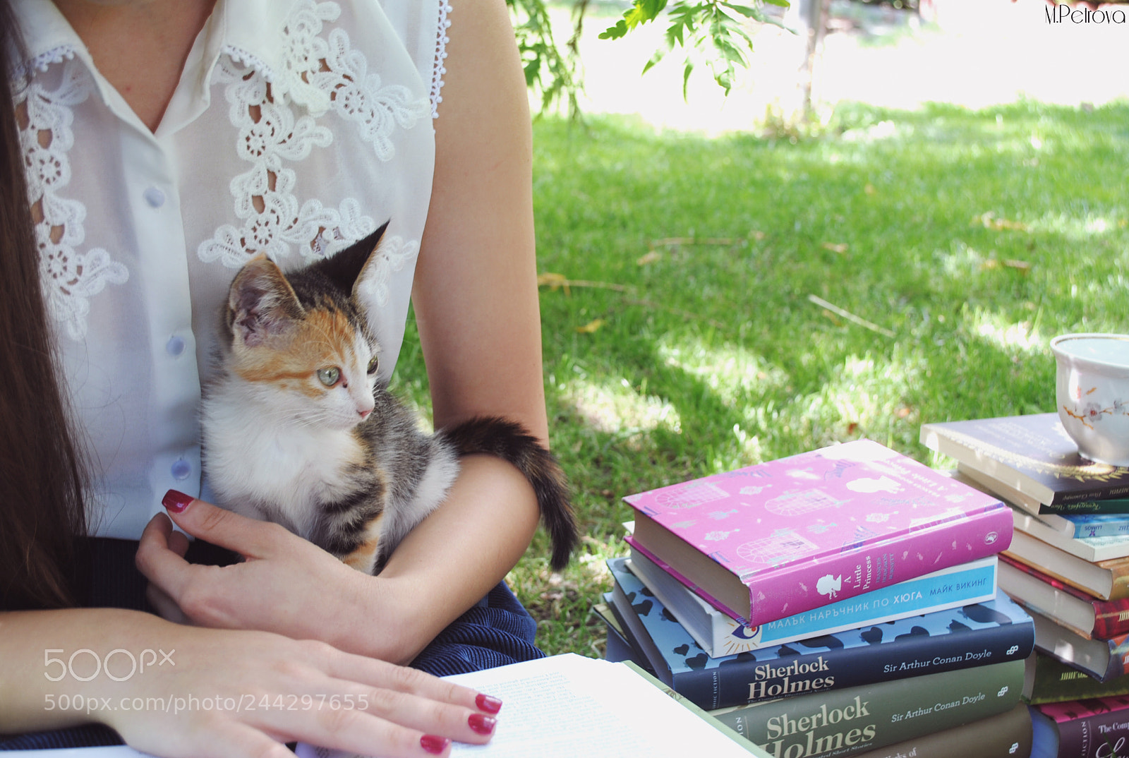 Nikon D3000 sample photo. Reading kitten photography