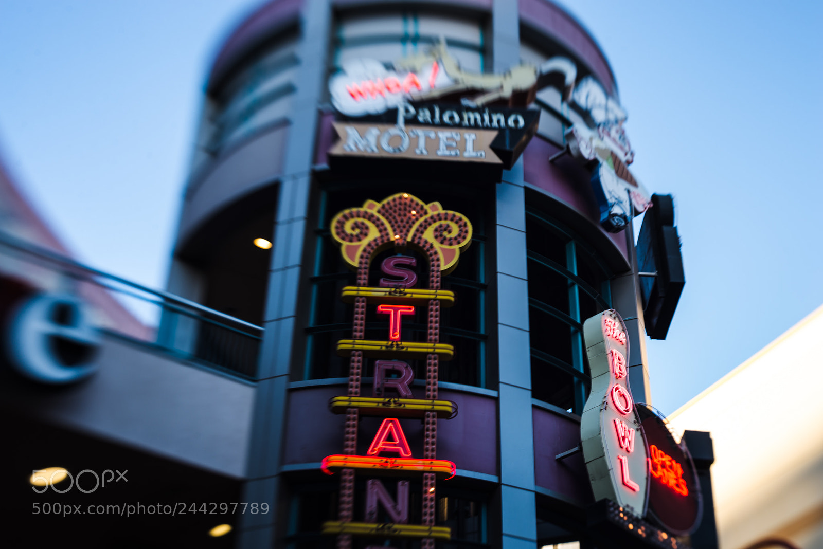 Nikon D610 sample photo. Neonopolis photography