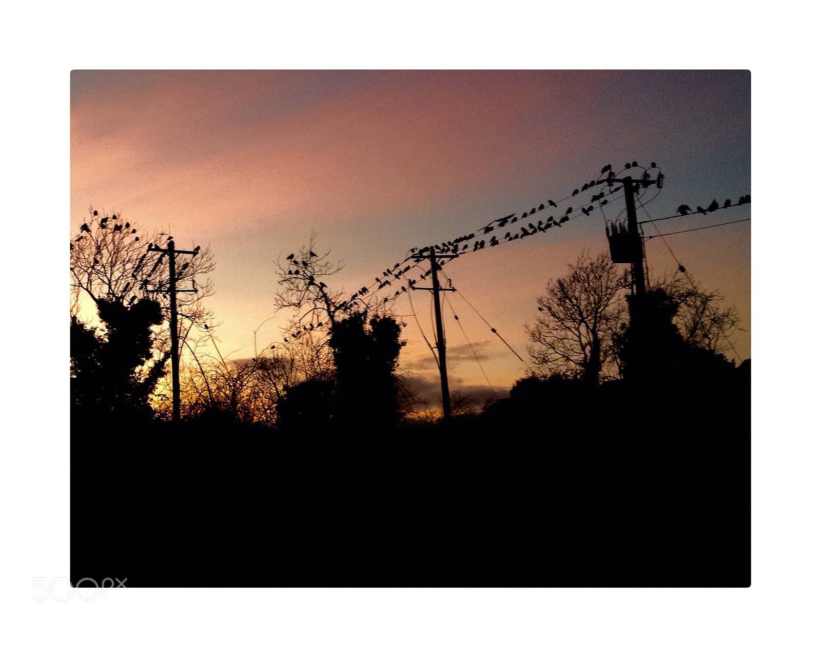 Apple iPhone 4S sample photo. The birds at sunset photography