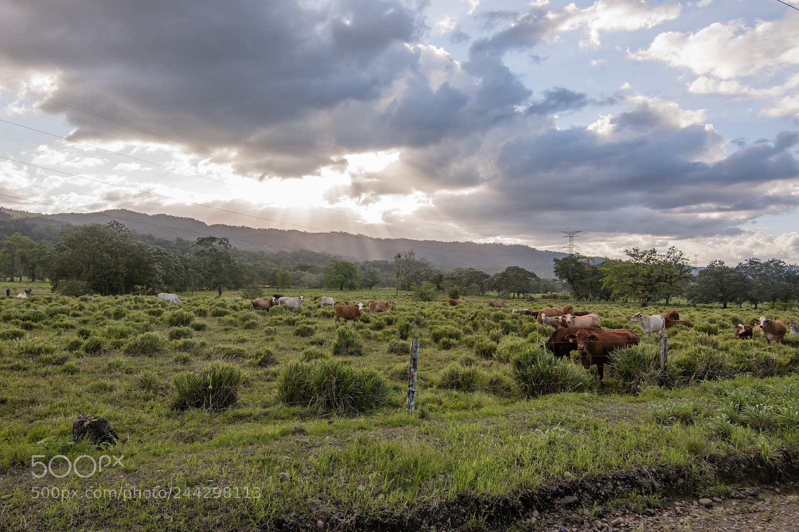Nikon D500 sample photo. Atardecer en guanacaste photography