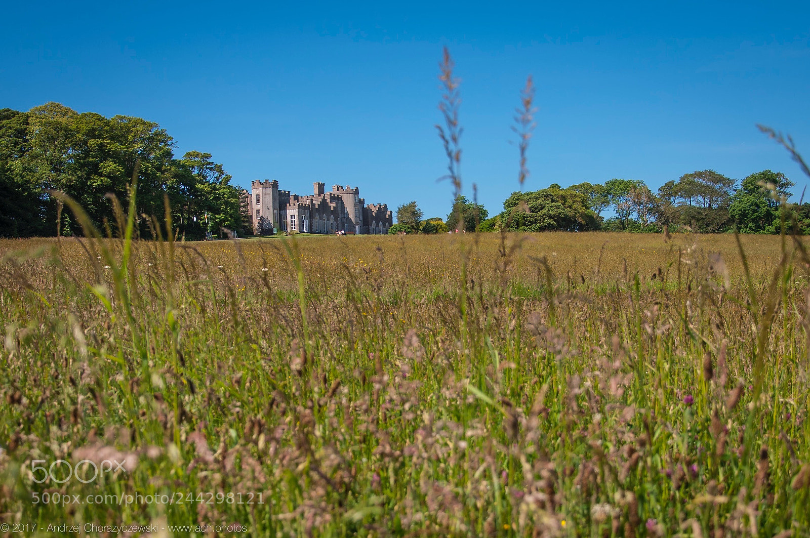 Nikon D90 sample photo. Ardgilian castle photography