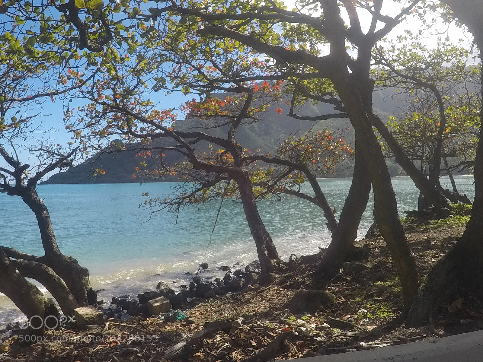 GoPro Hero5 Black sample photo. Untitled photography