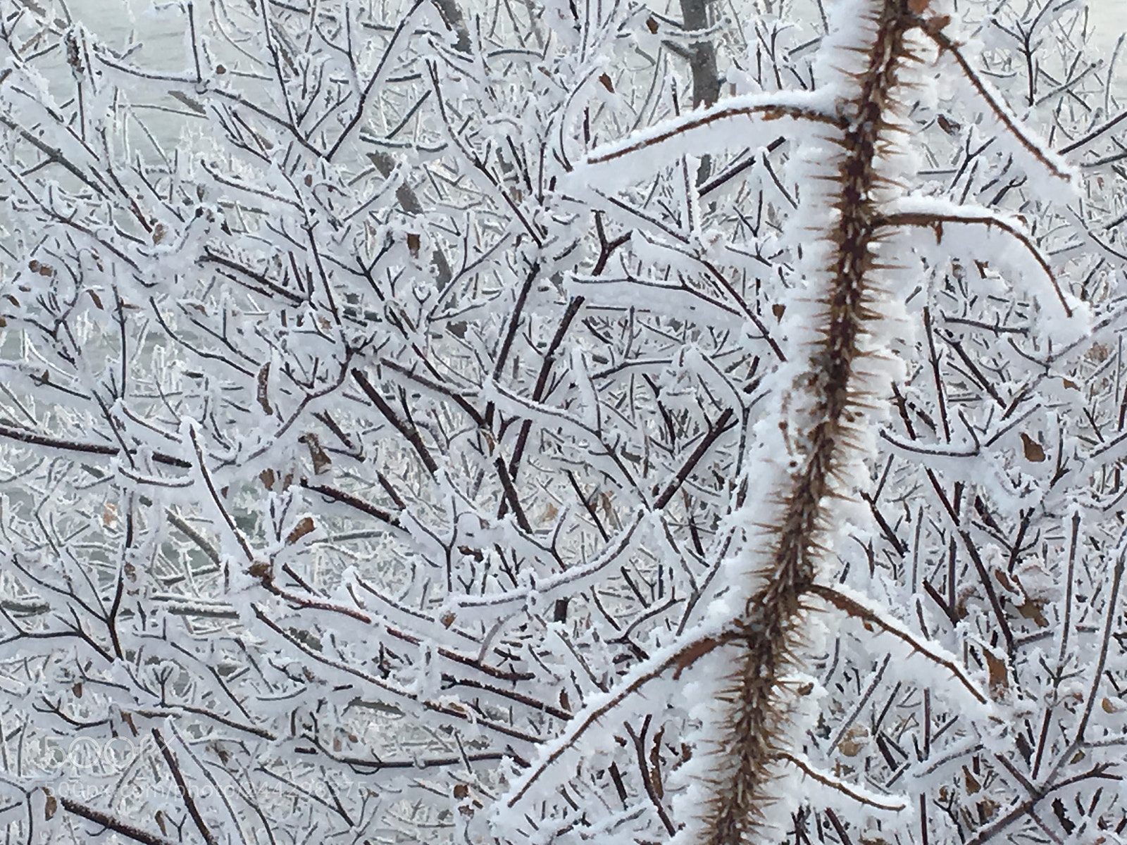 Apple iPhone 6s sample photo. Winter photography