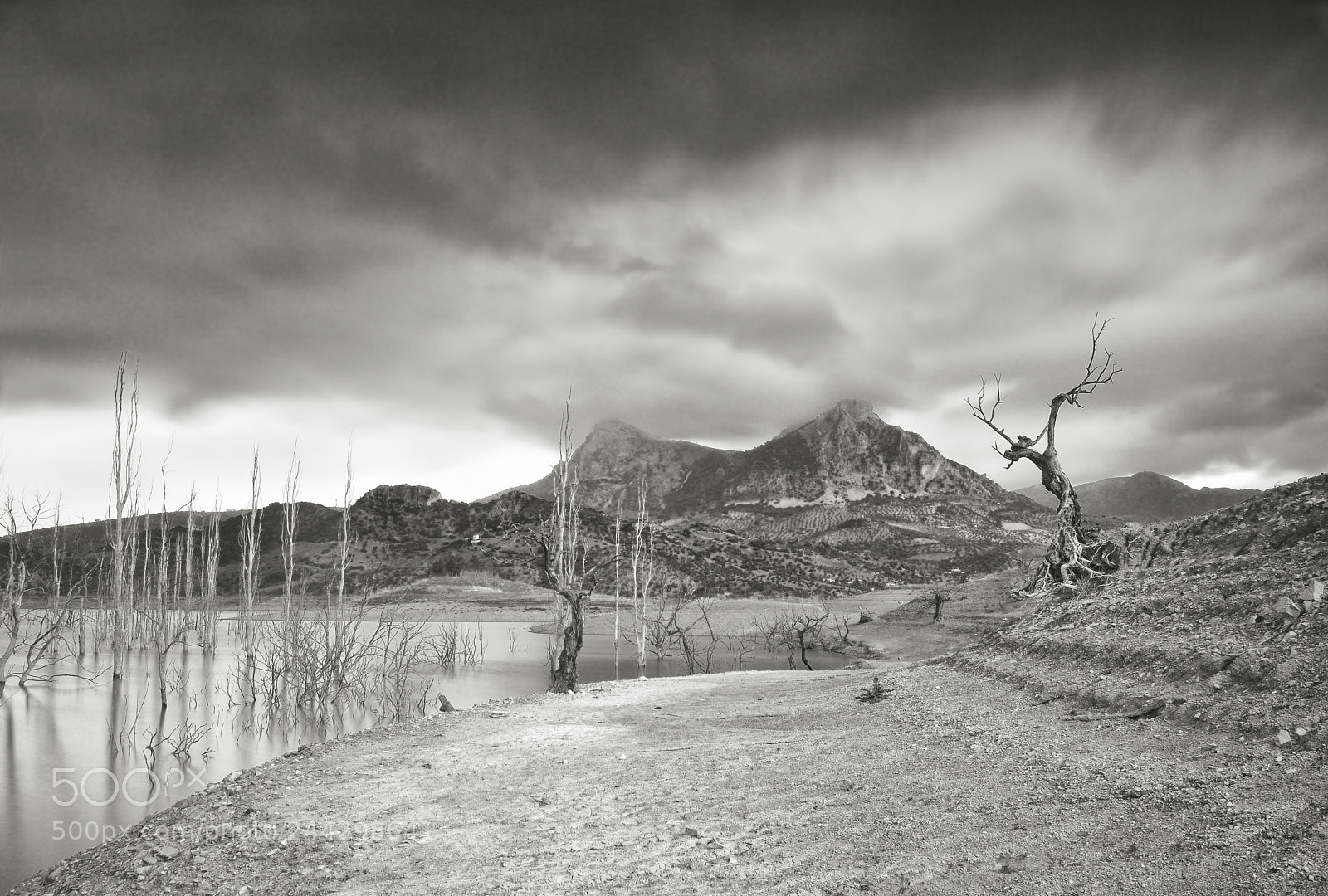 Nikon D7200 sample photo. Embalse de zahara. photography