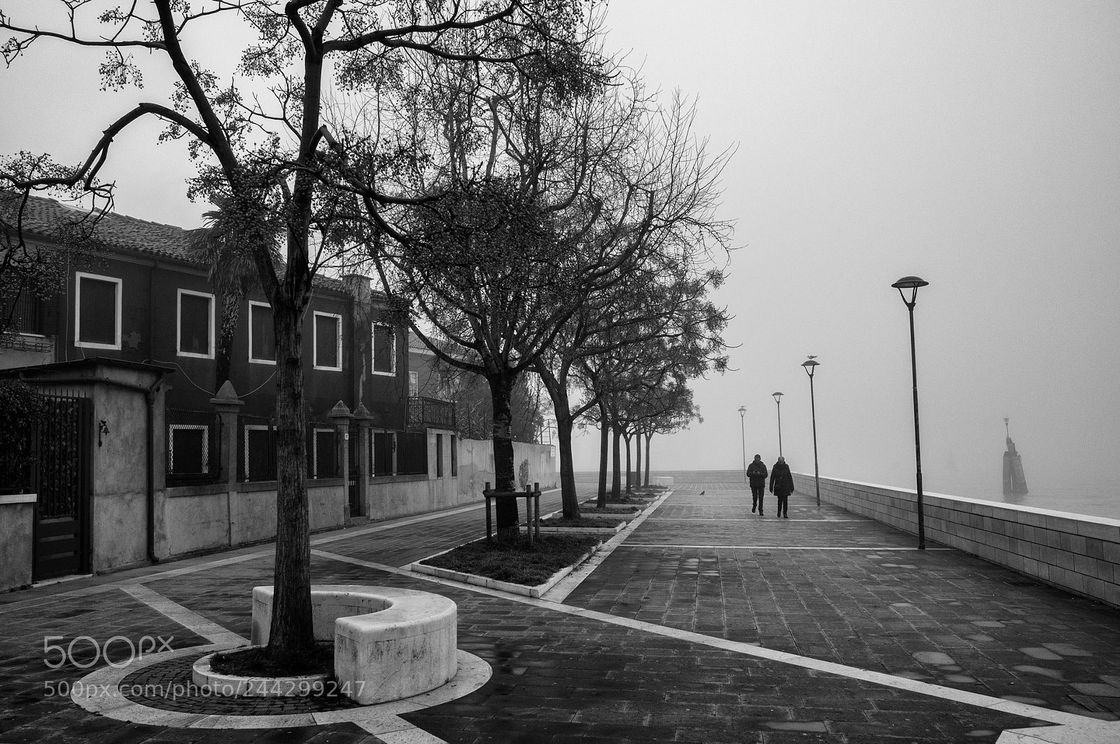 Olympus OM-D E-M1 sample photo. Ancora nebbia... photography
