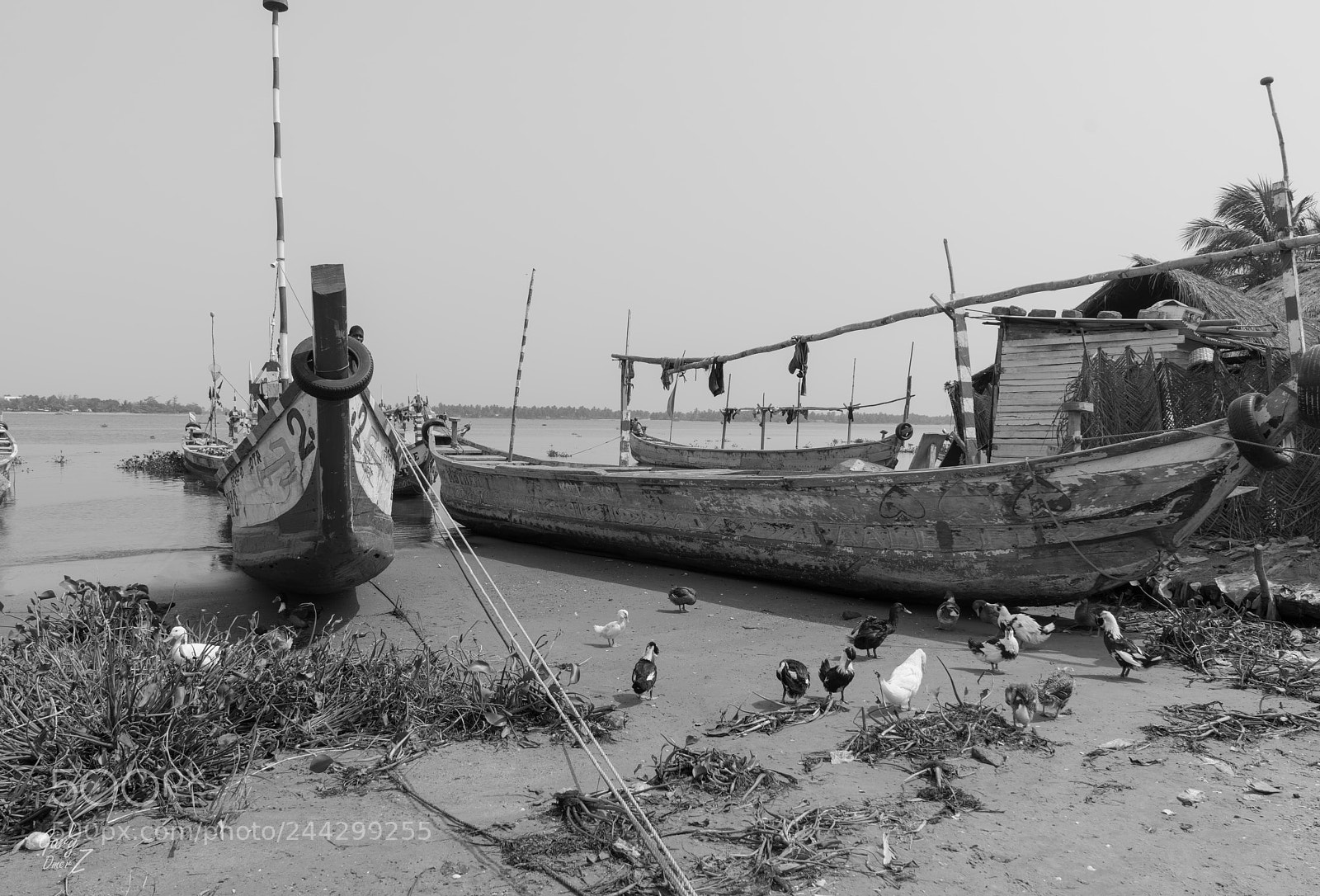 Sony a7R II sample photo. Gzh photography
