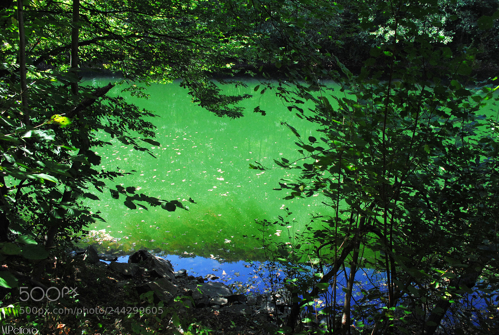 Nikon D3000 sample photo. Green lake photography
