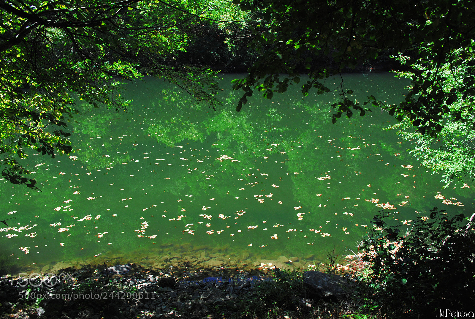 Nikon D3000 sample photo. Green lake ii photography