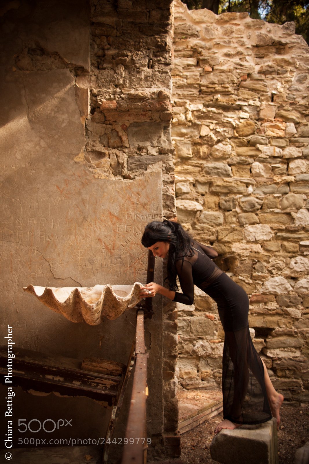 Canon EOS 5D sample photo. Shell photography