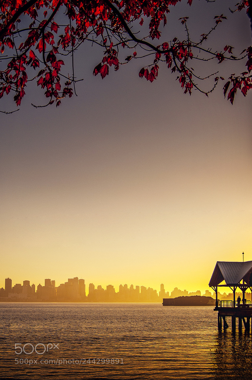 Nikon D50 sample photo. Vancouver photography