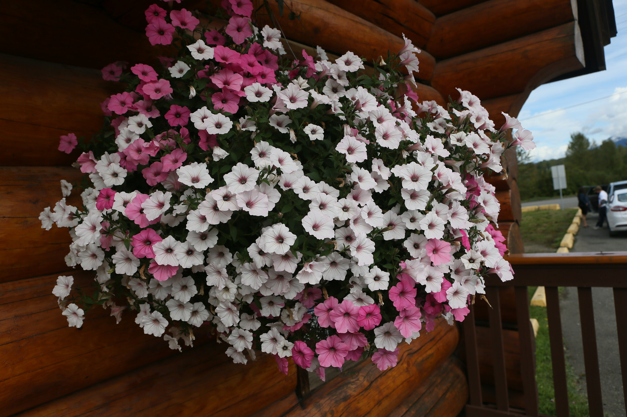 Canon EOS-1D X sample photo. Canada to alaska photography