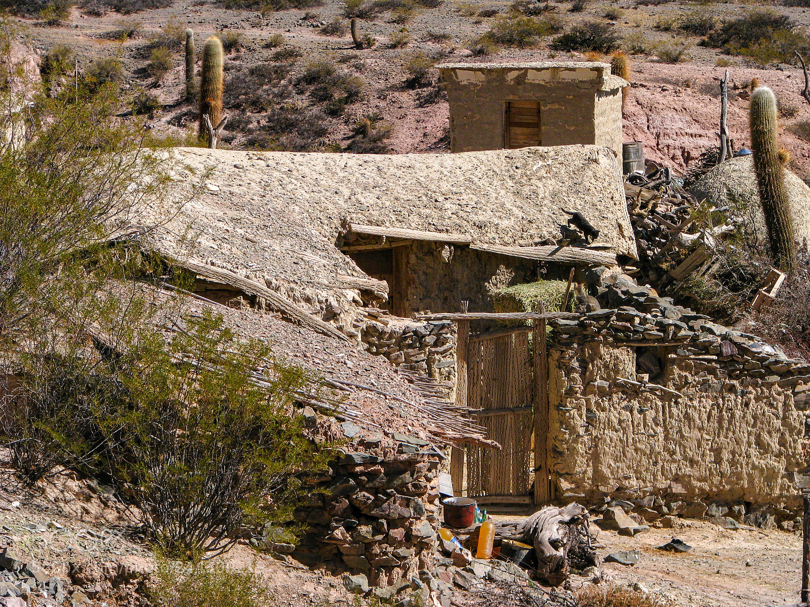 Canon POWERSHOT S5 IS sample photo. Adobe ranch and cactus photography