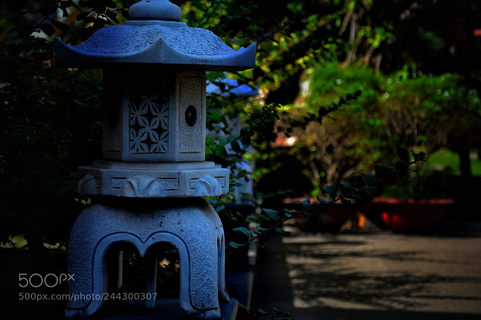 Nikon D3200 sample photo. Untitled photography
