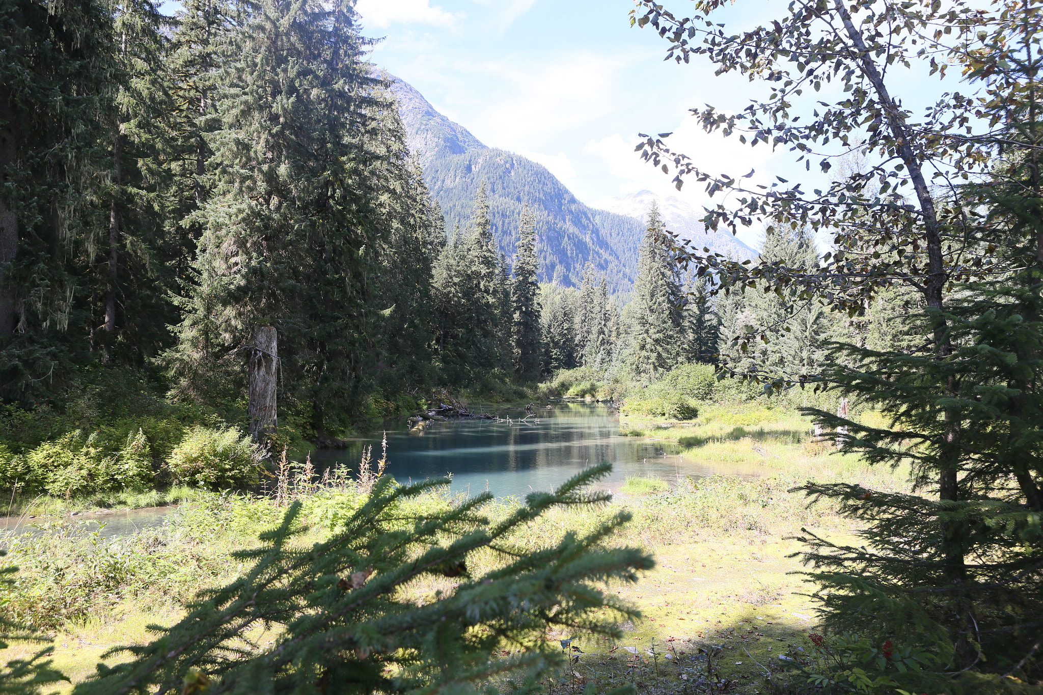 Canon EOS-1D X sample photo. Canada to alaska photography