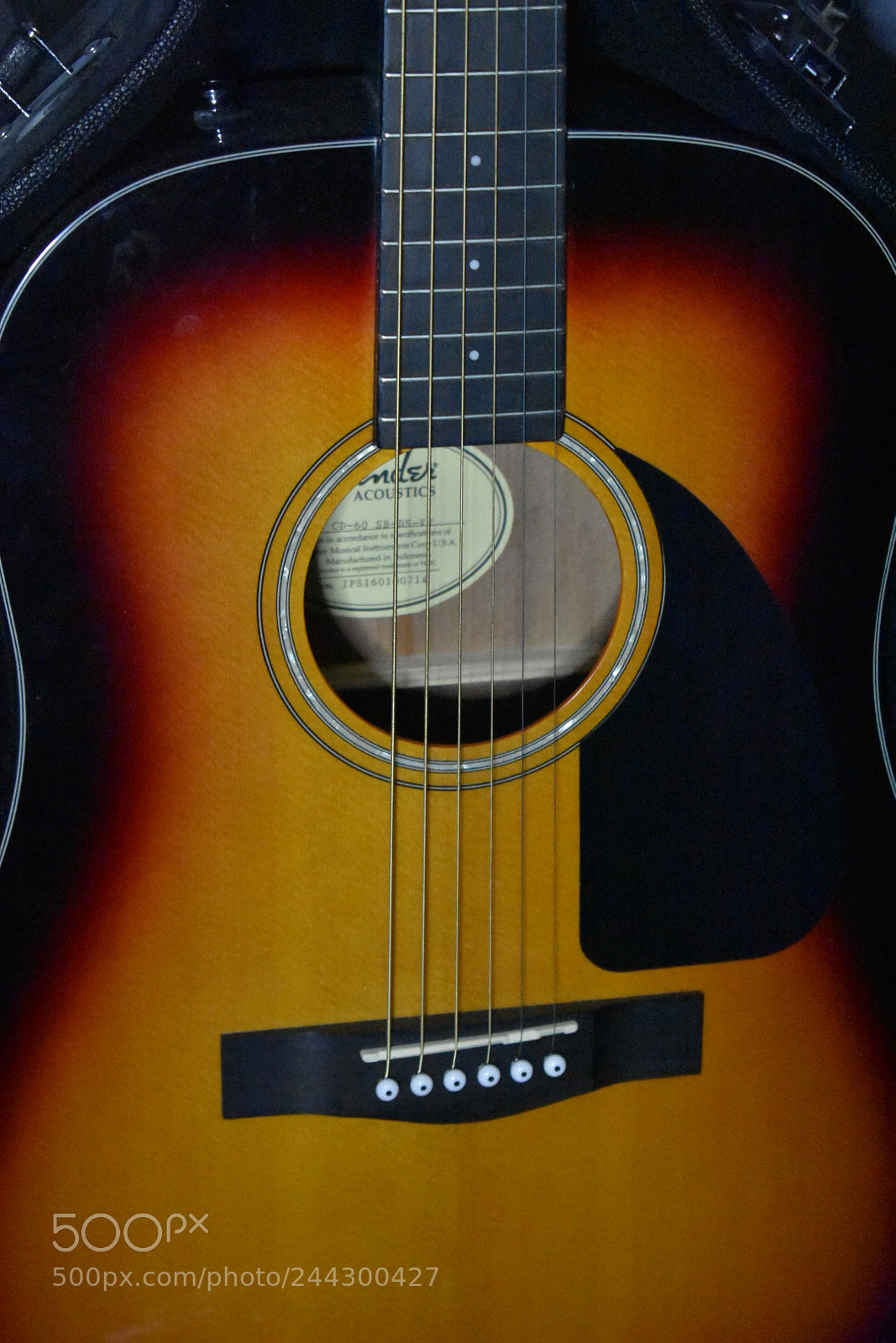 Nikon D3400 sample photo. Name - fender photography