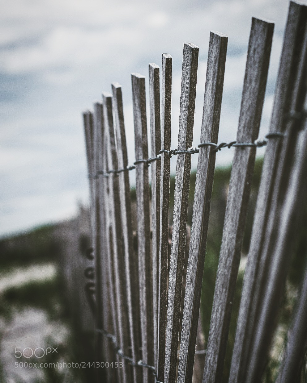 Nikon D7200 sample photo. Fence posts along the photography