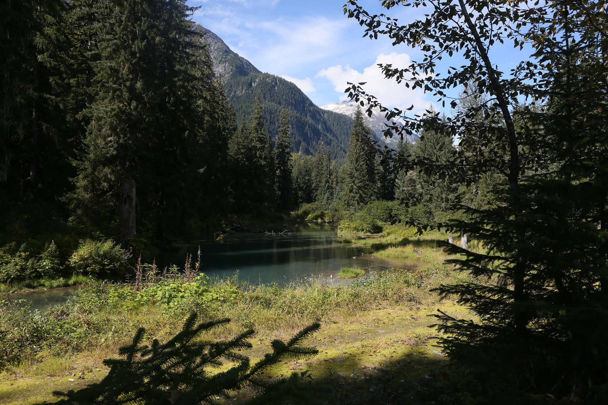Canon EOS-1D X sample photo. Canada to alaska photography